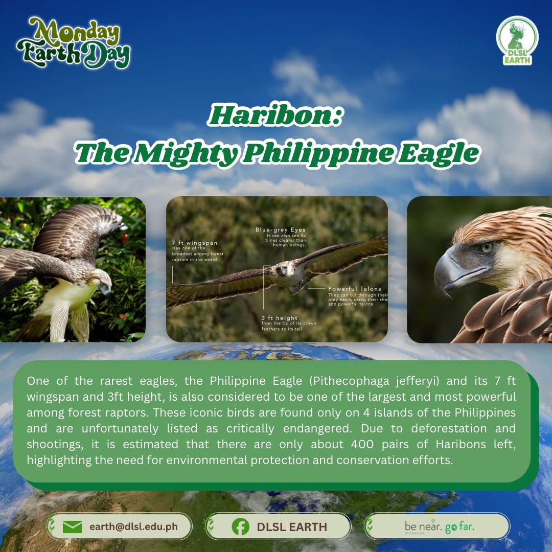 DLSL - The Philippine Eagle (Haribon) is a true 