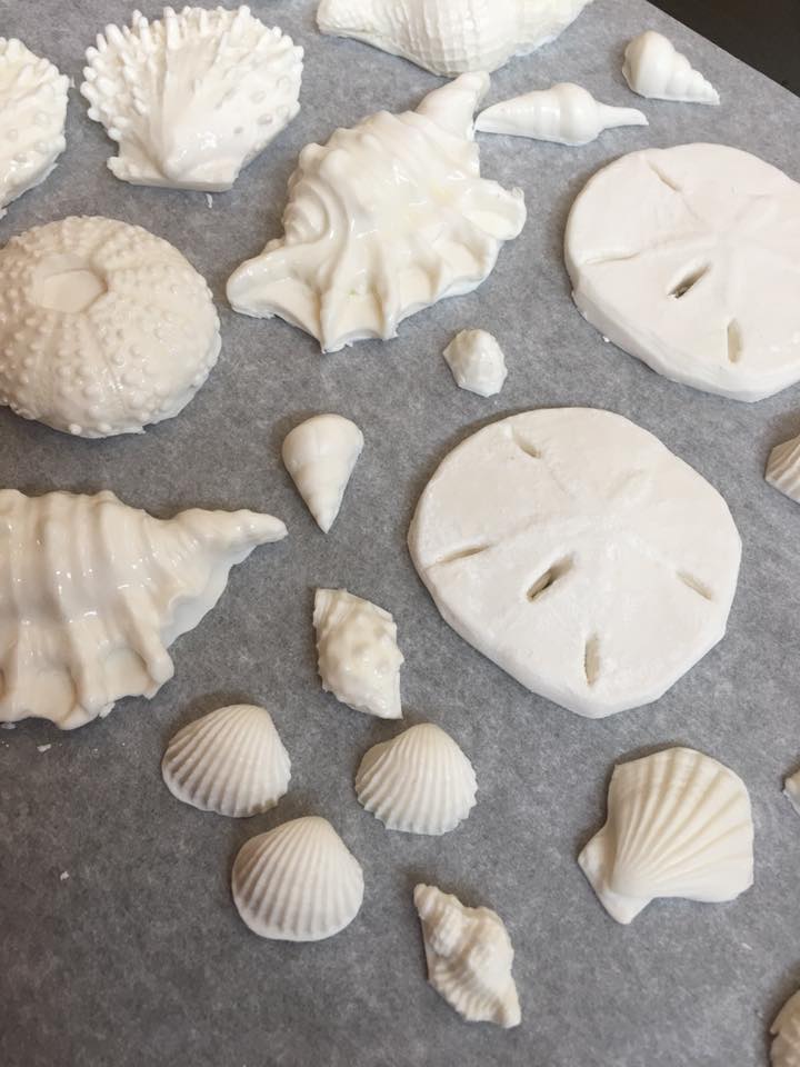How do you like my edible sea shells... - Barbara Gibbs WTVD