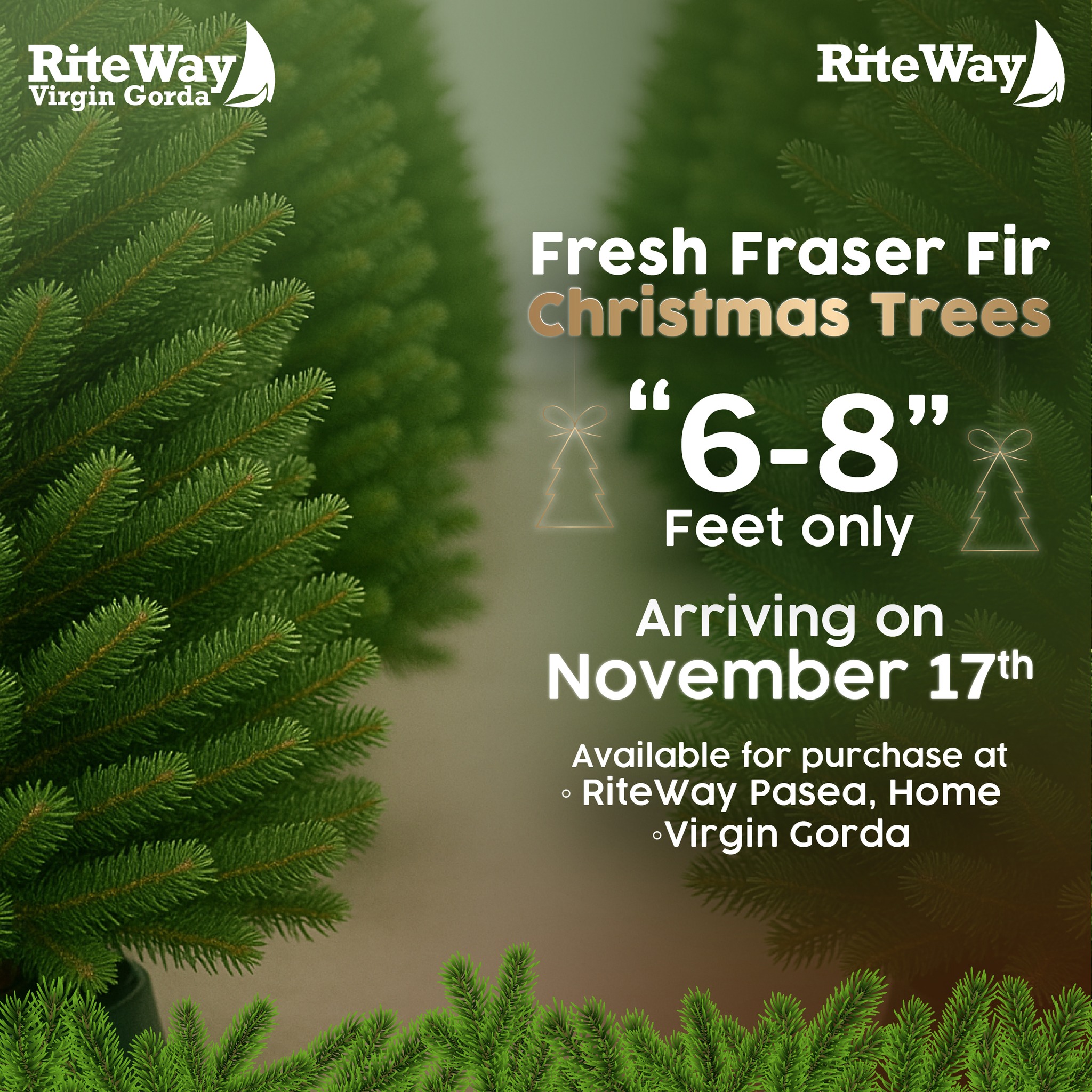 Rite - 🎄 They’re on their way! 🎄 Get ready — our Fresh Fraser Fir ...