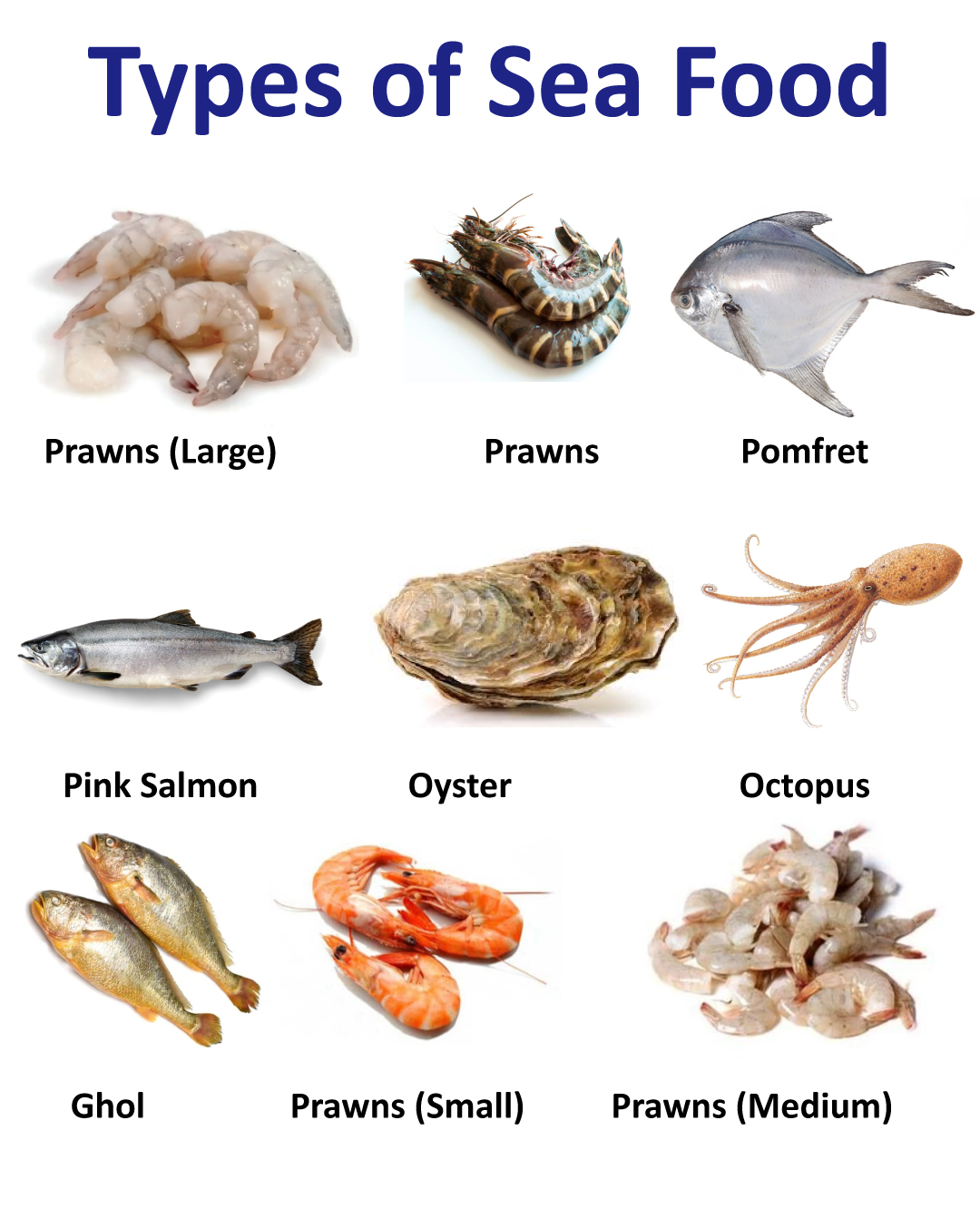 Education Crush - Types of Sea Food #fblifestyle Education... | Facebook