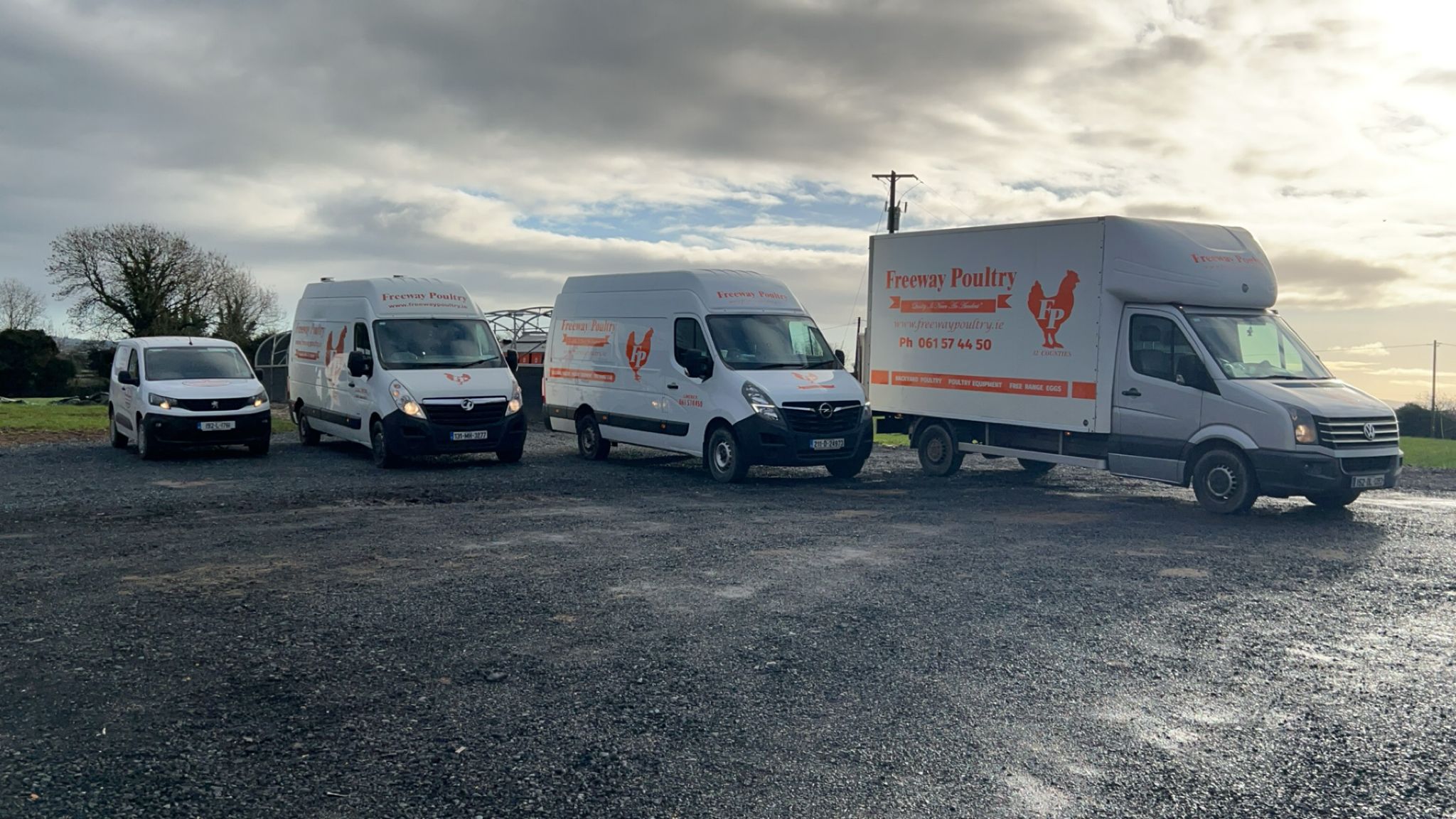 Freeway - AVIAN FLU DELIVERY UPDATE! Our flock is disease free and ...
