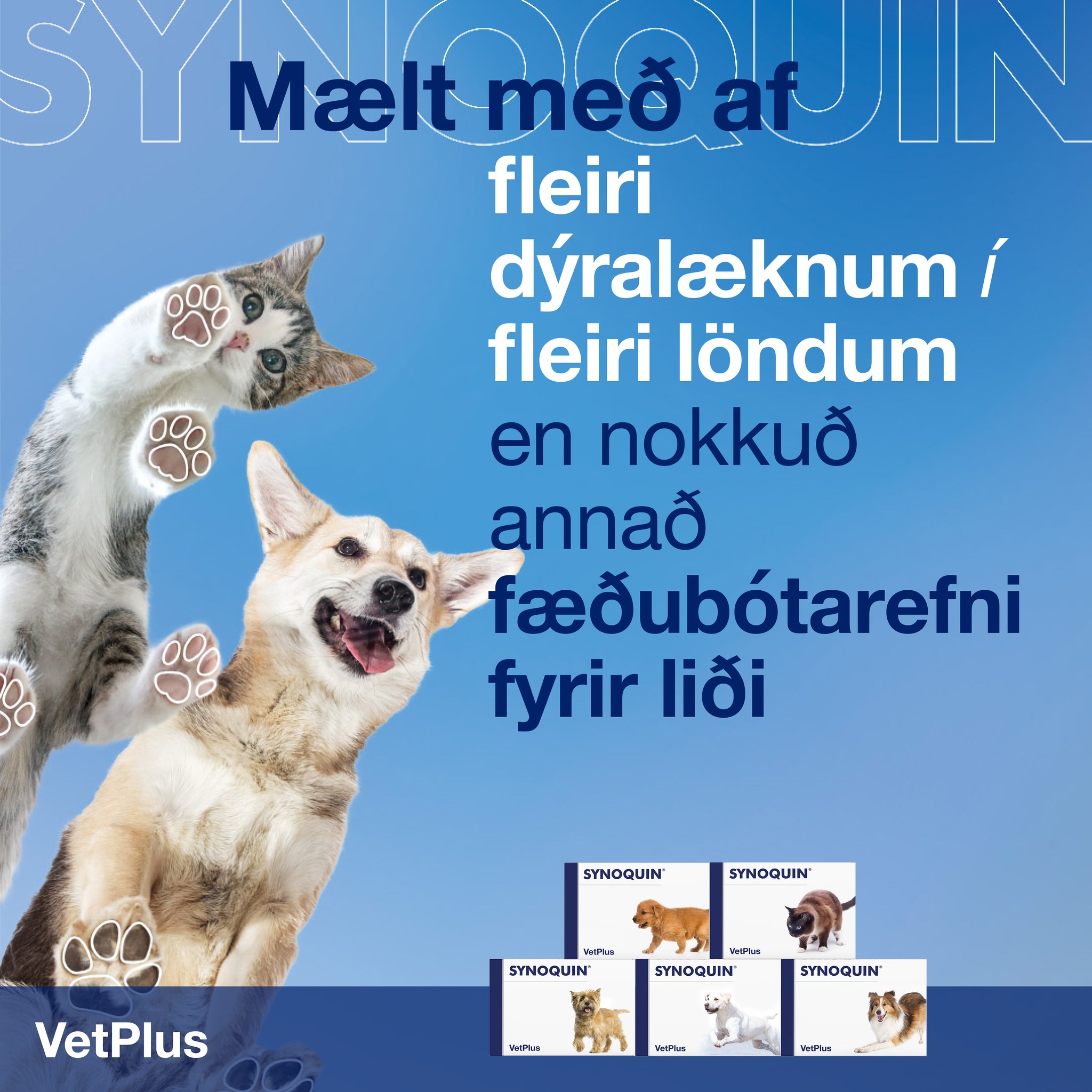 Dýraspítalinn - 🐶🐱Mælt með af fleiri dýralæknum 👩‍⚕️🏥 í fleiri löndum ...