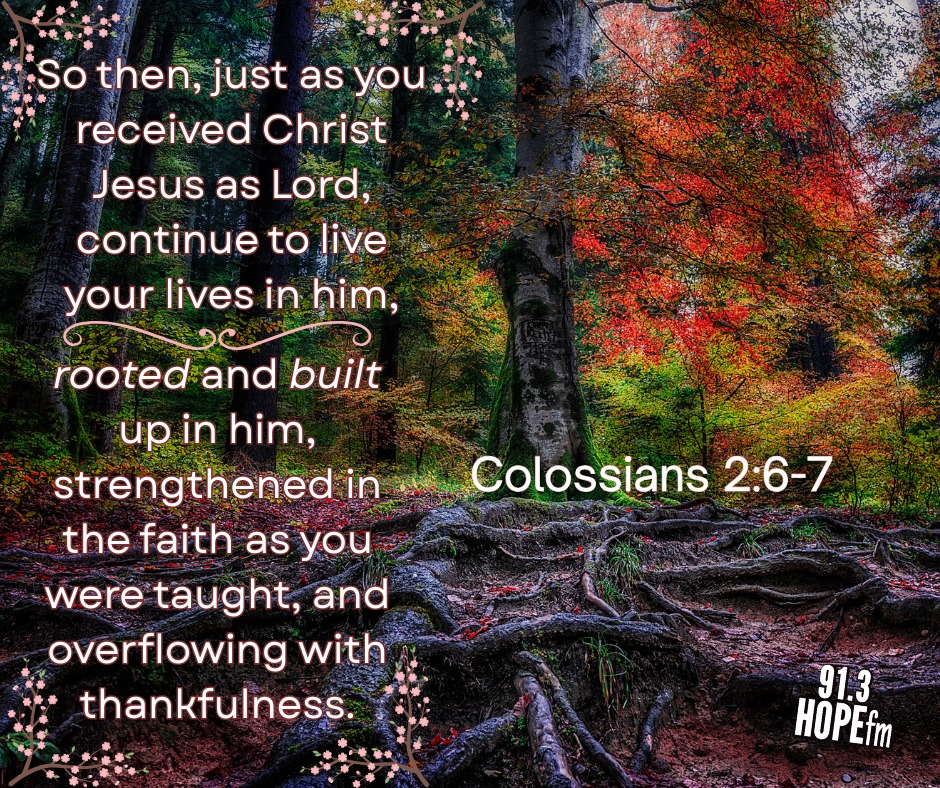 91.3 - These verses remind us that faith isn’t just a one-time decision ...
