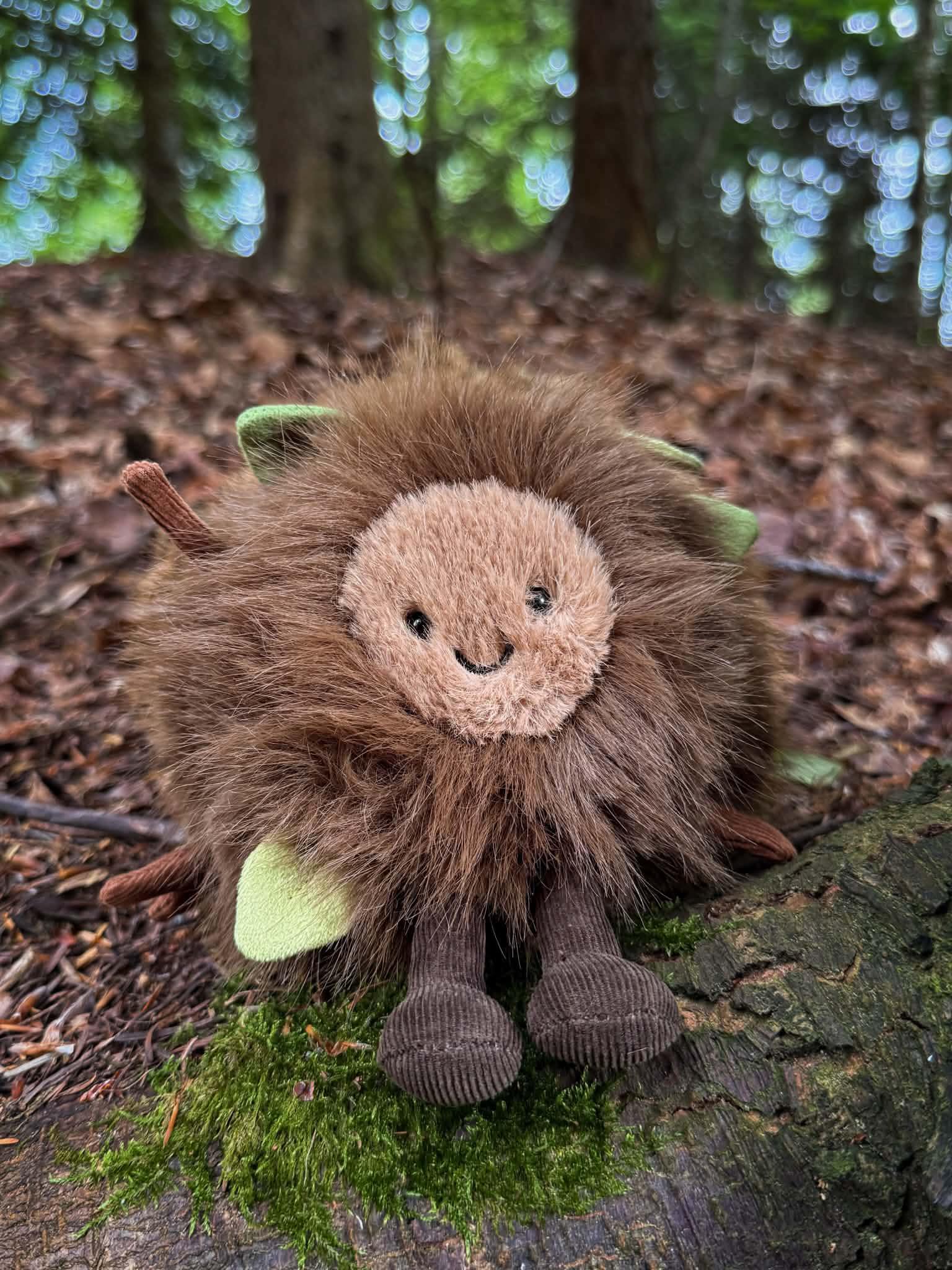 Mulshi Floor might just be Jellycat Joe”s favourite out the new