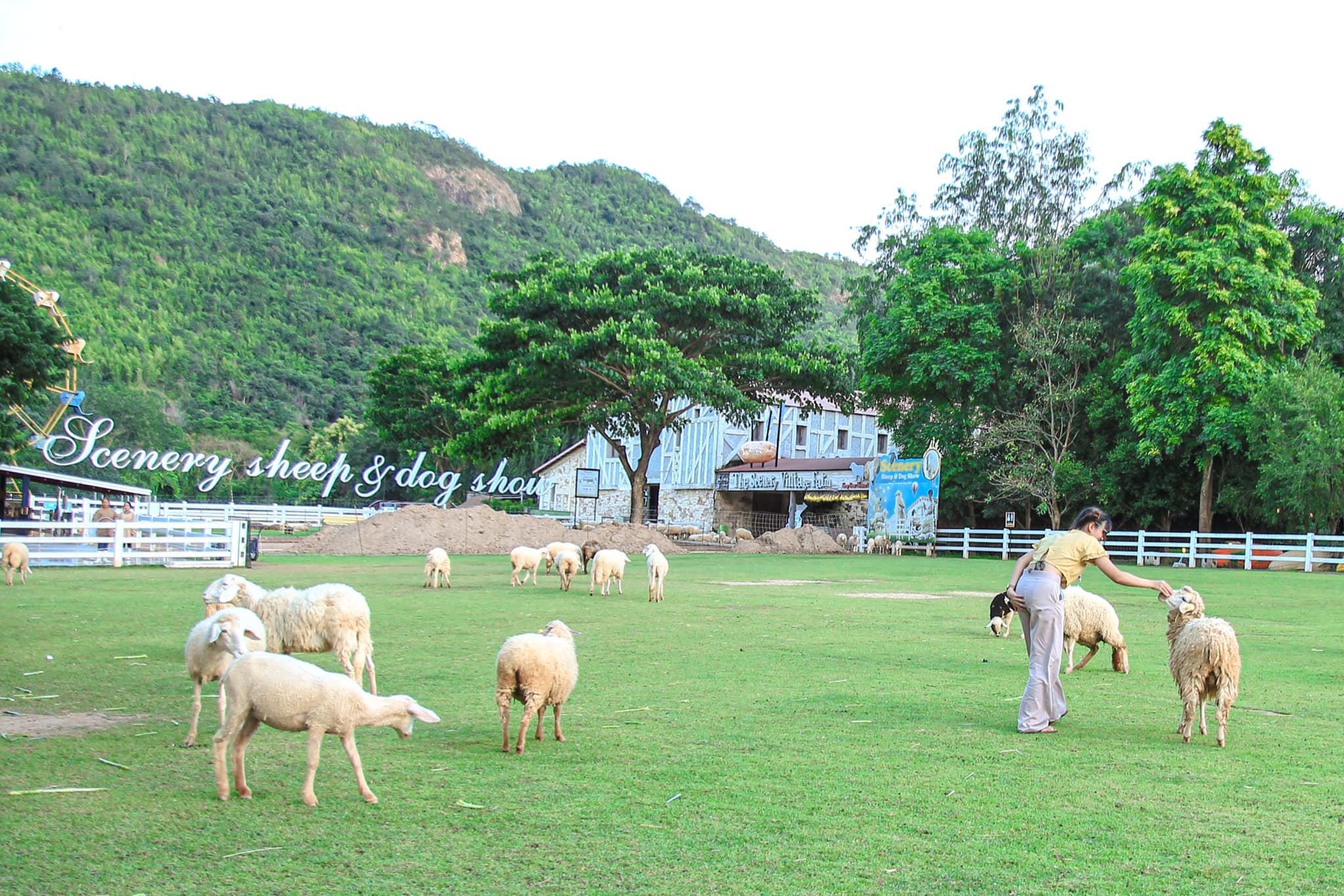 มา มะ มาเที่ยว - คิดถึงสวนผึ้ง 🐝 Scenery Vintage Farm... | Facebook