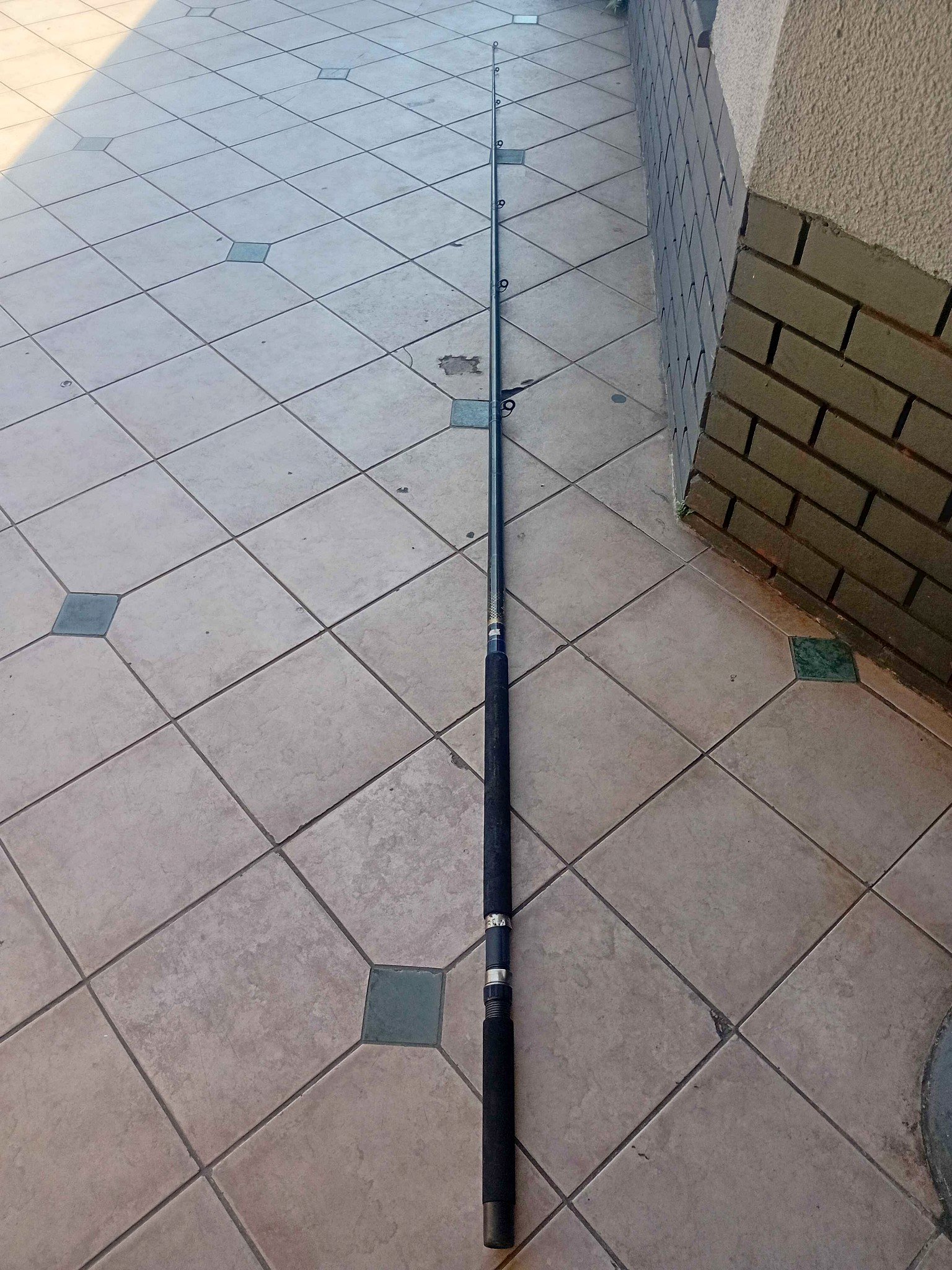 cheapest fishing tackle rod's & reels durban Big Catch Fishing Rods for Sale |