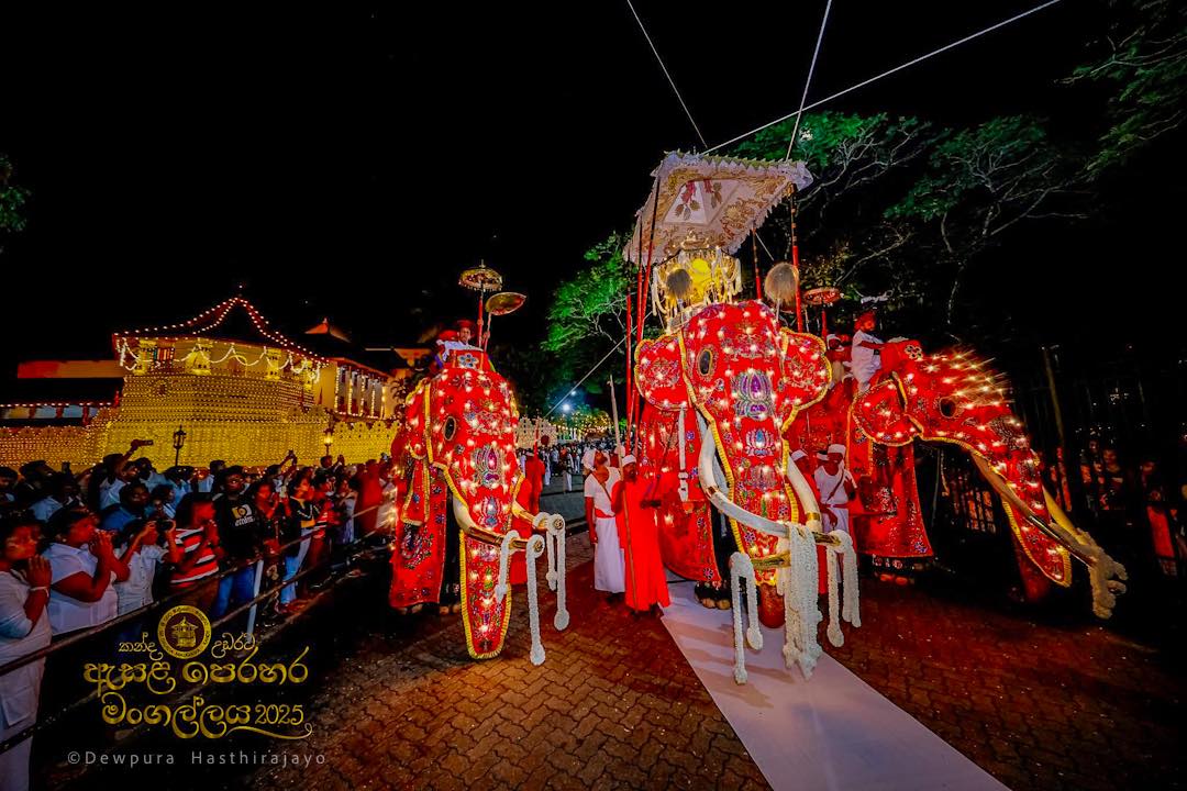 Voice - මියන් රාජා - Miyan Raja Voice For Elephants Sri Lanka Media # ...