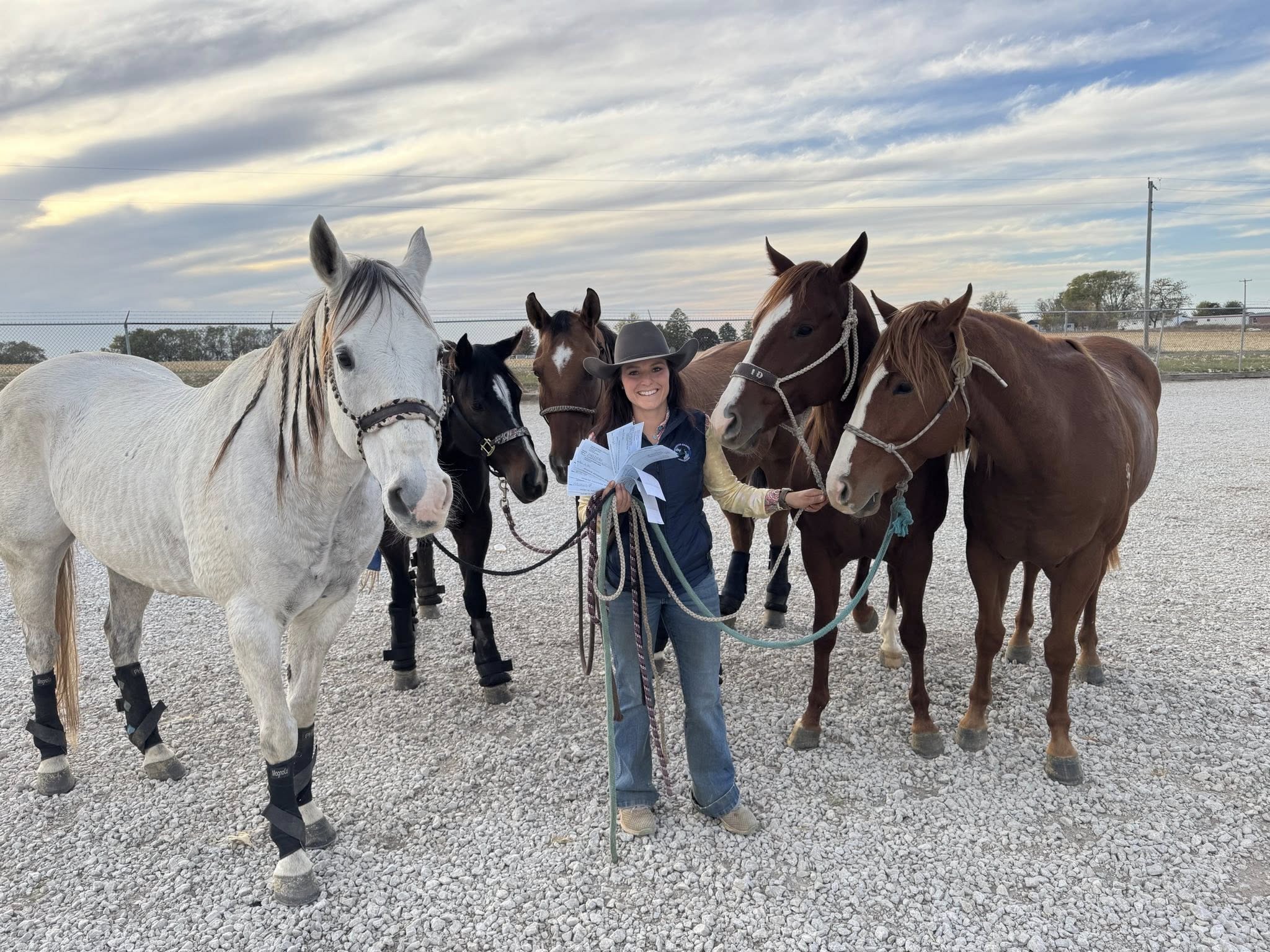 Saddle - 𝐄𝐦𝐢𝐥𝐲 𝐆𝐨𝐥𝐝𝐞𝐧 Emily is a very experienced, knowledgeable horse ...