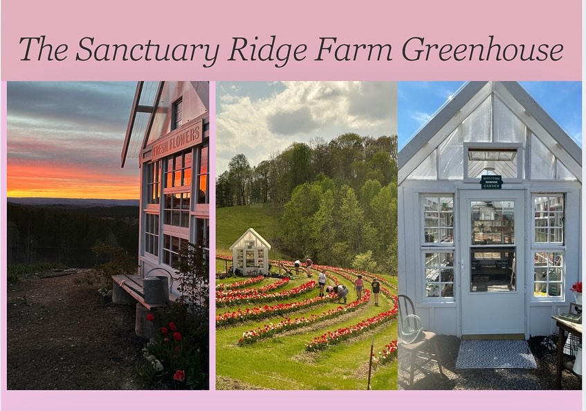 Sanctuary Ridge Farm | Decatur TN