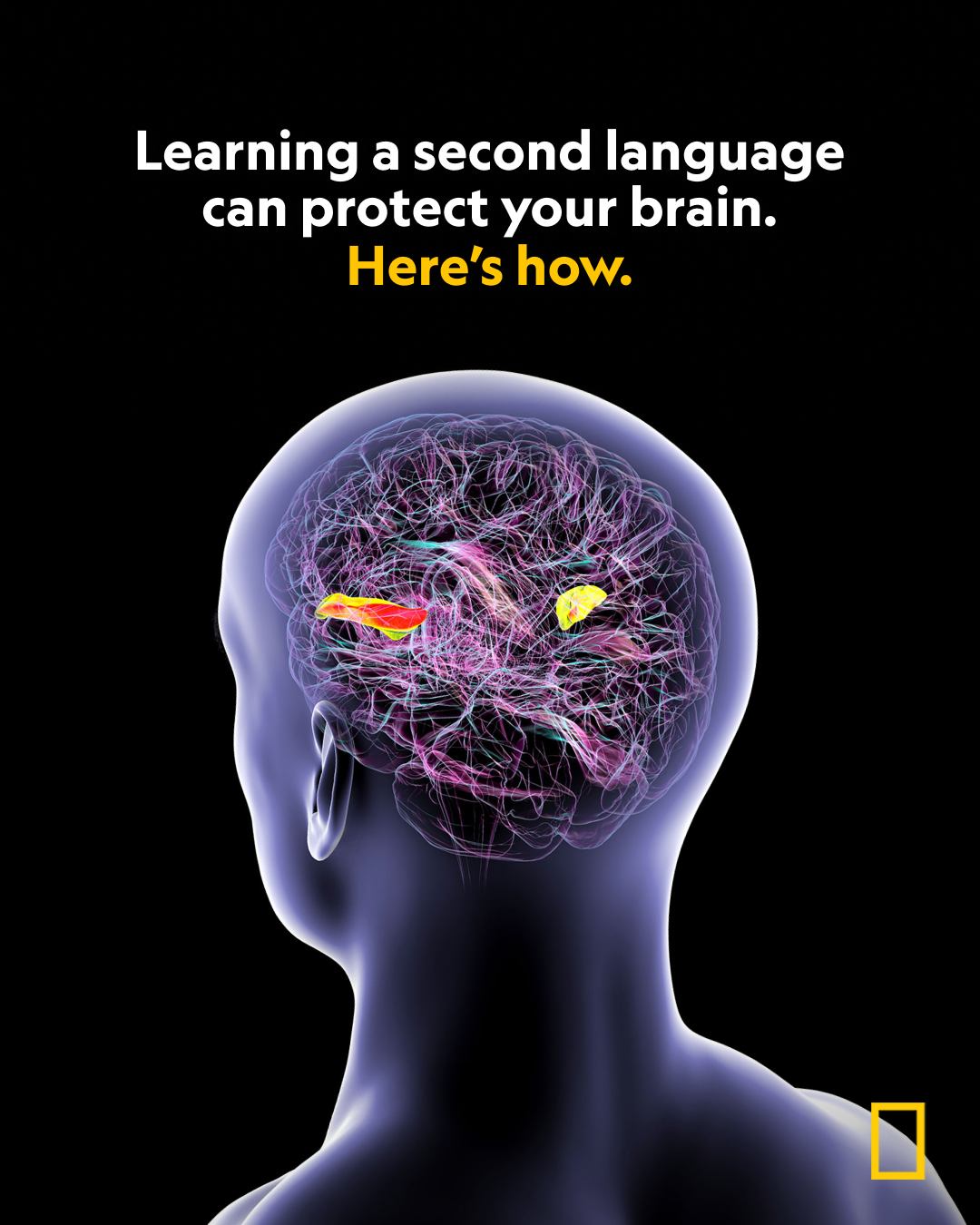 National - Aging rarely rewires the brain overnight. Instead, it shows ...