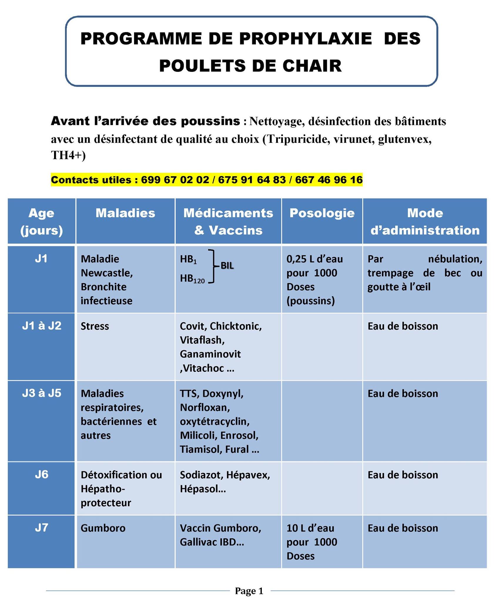 Projet Elevage Poulet De Chair Cameroun Pdf