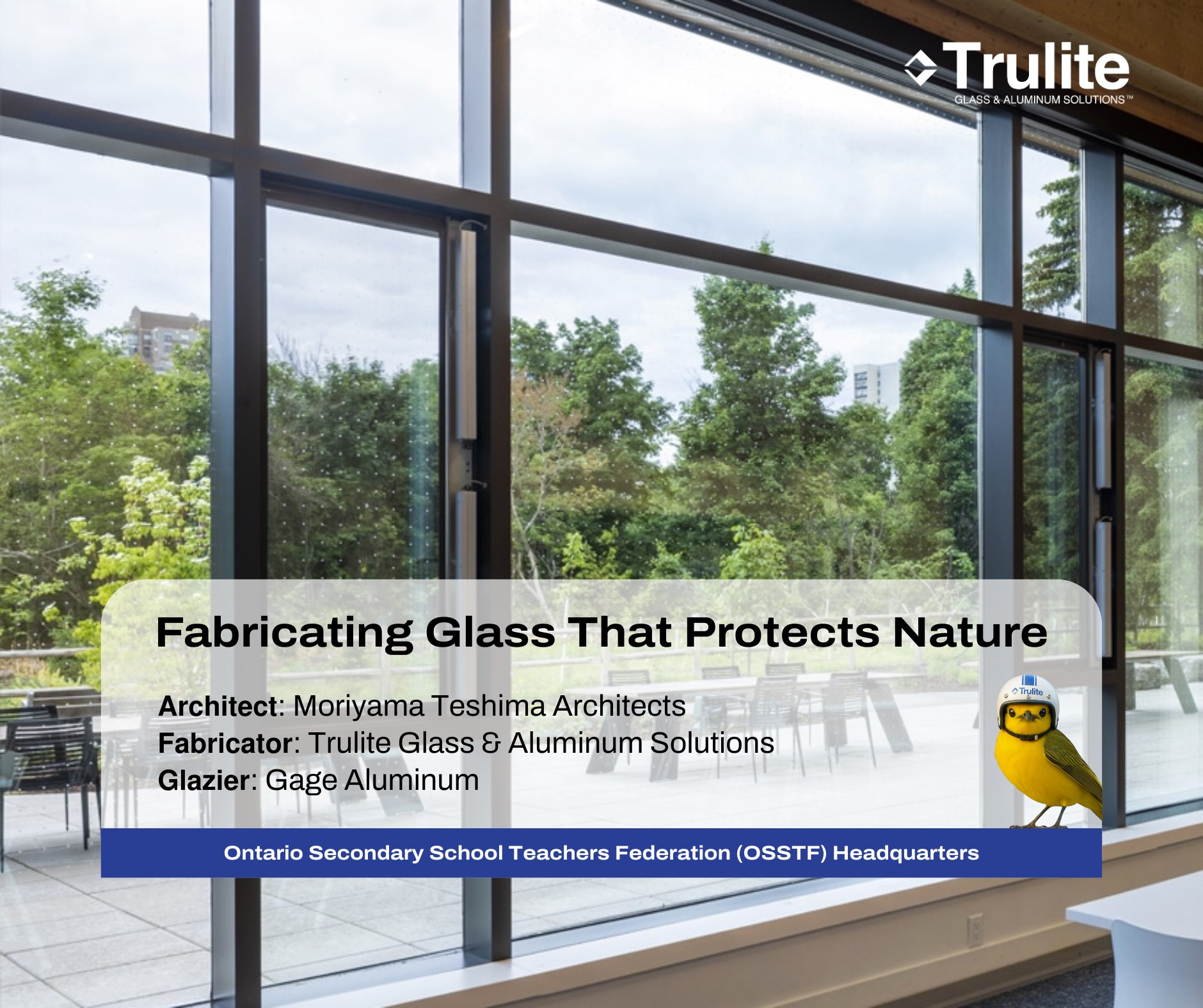 Trulite Glass & Aluminum Solutions