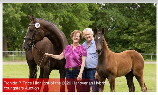 Fronida P, Price Highlight of the 2026 Hanoverian Hybrid