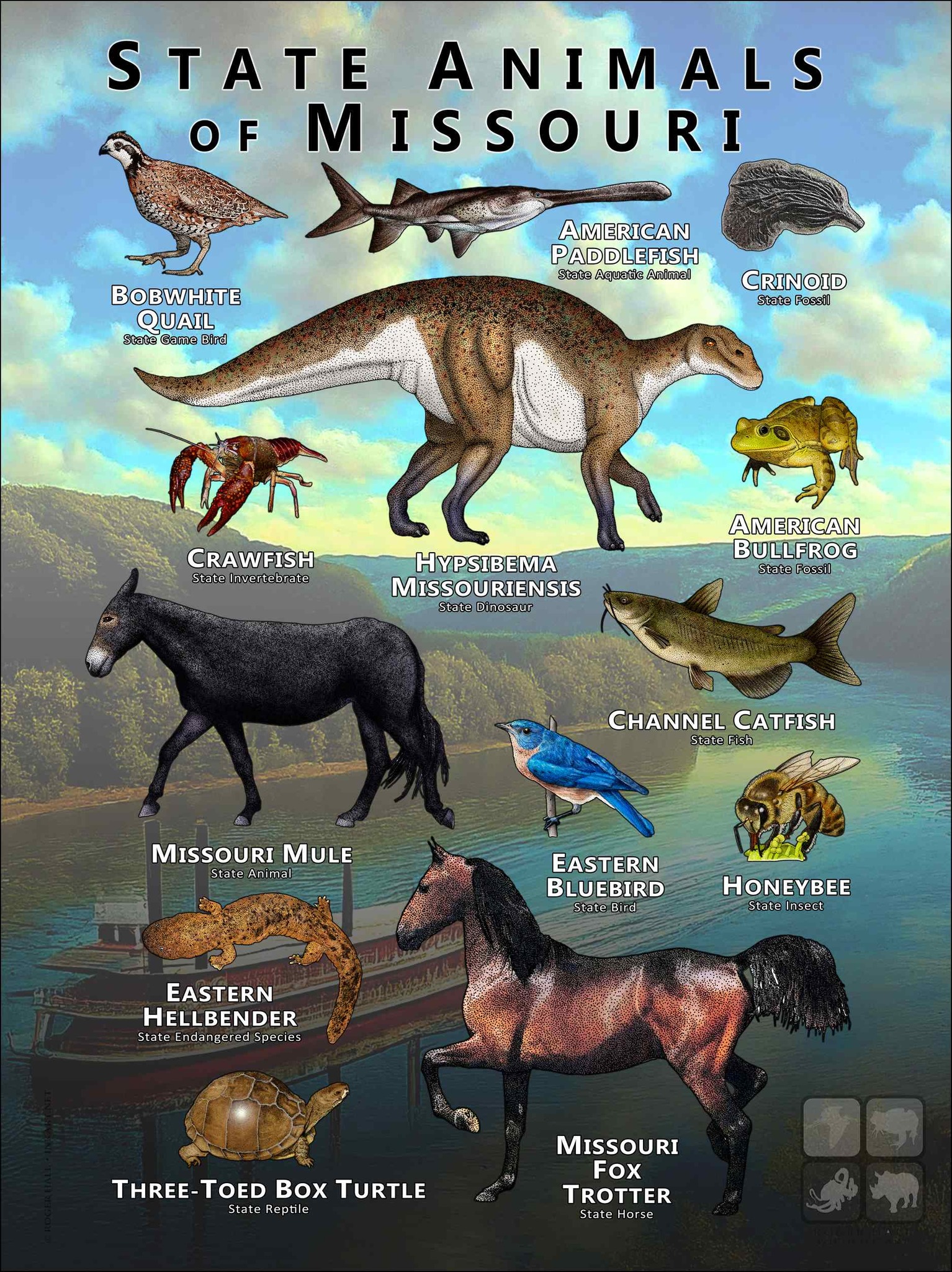Ceres Science - State Animals of Missouri poster by Roger... | Facebook