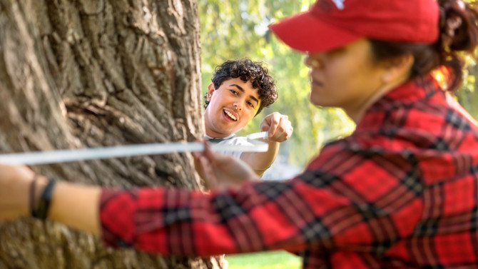 In a new collaboration, Cornell faculty and students will help the City ...