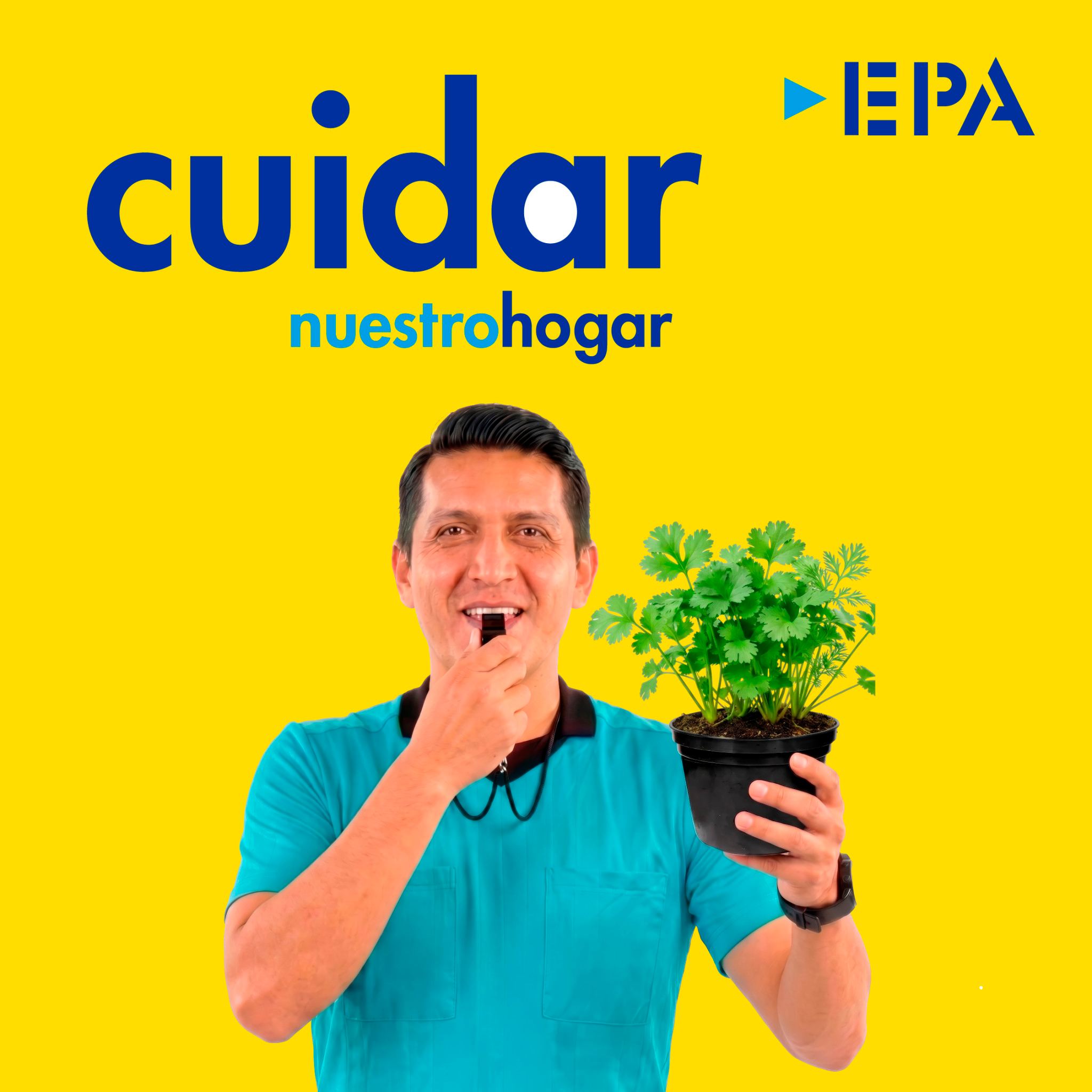 Haloppe 200 Semillas De Plantas Suculentas – Ideal Para Jardín Y Macetas, Resistentes A La Intemperie, Fáciles De Cultivar