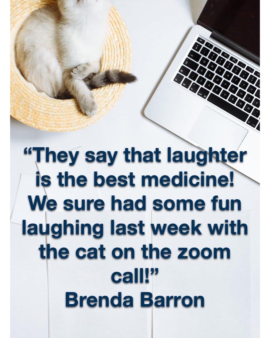 Professional - “🚨 When your ‘perfect’ candidate brings their cat to the ...