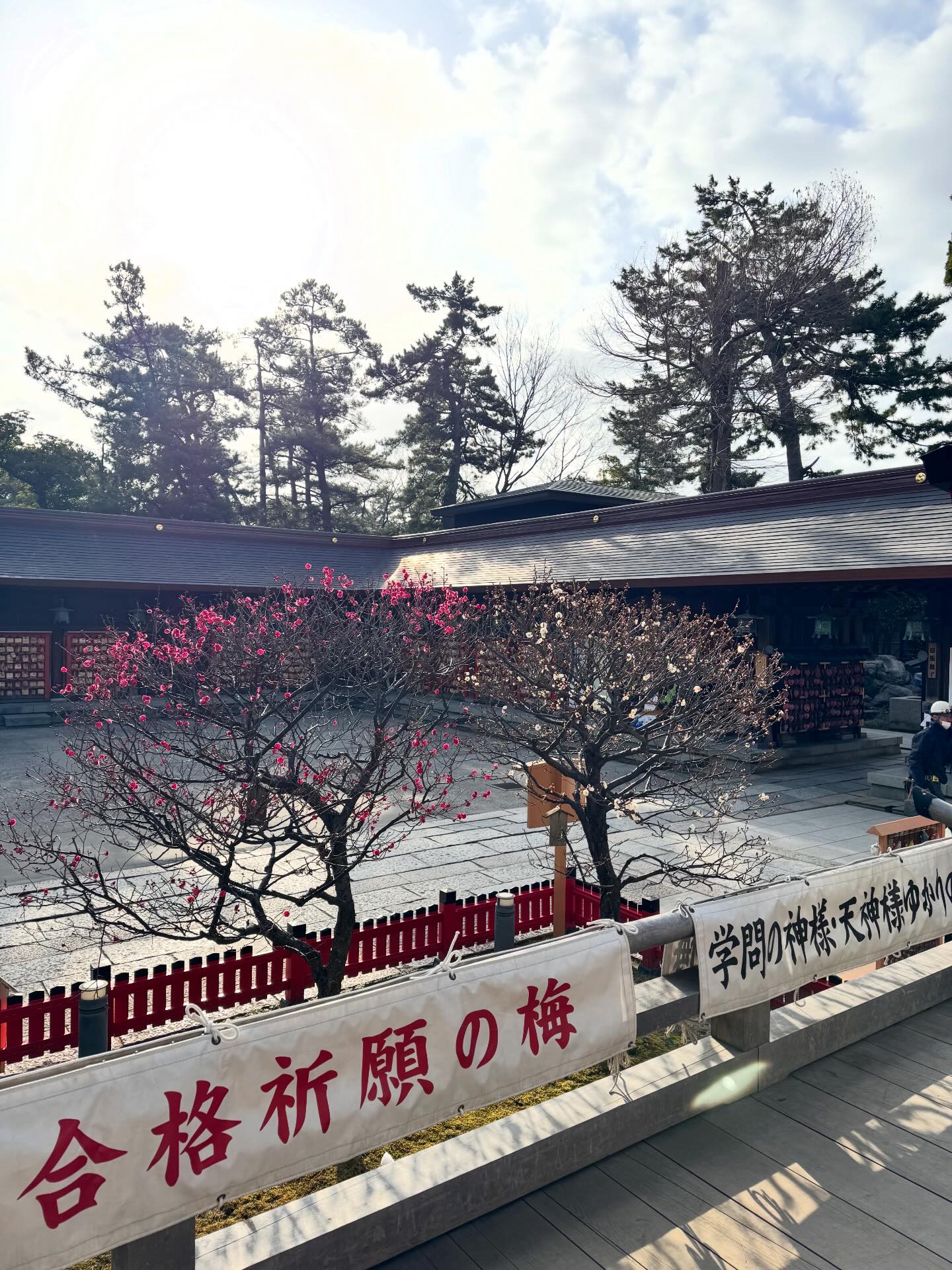 新潟 総 鎮守 白山 神社