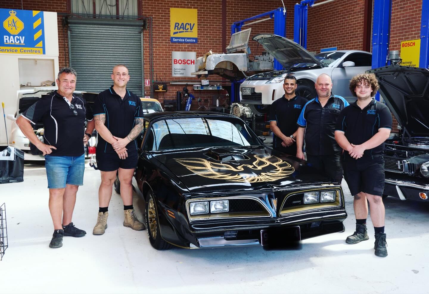 Berwick Auto... - Berwick Auto Electrics & Mechanical