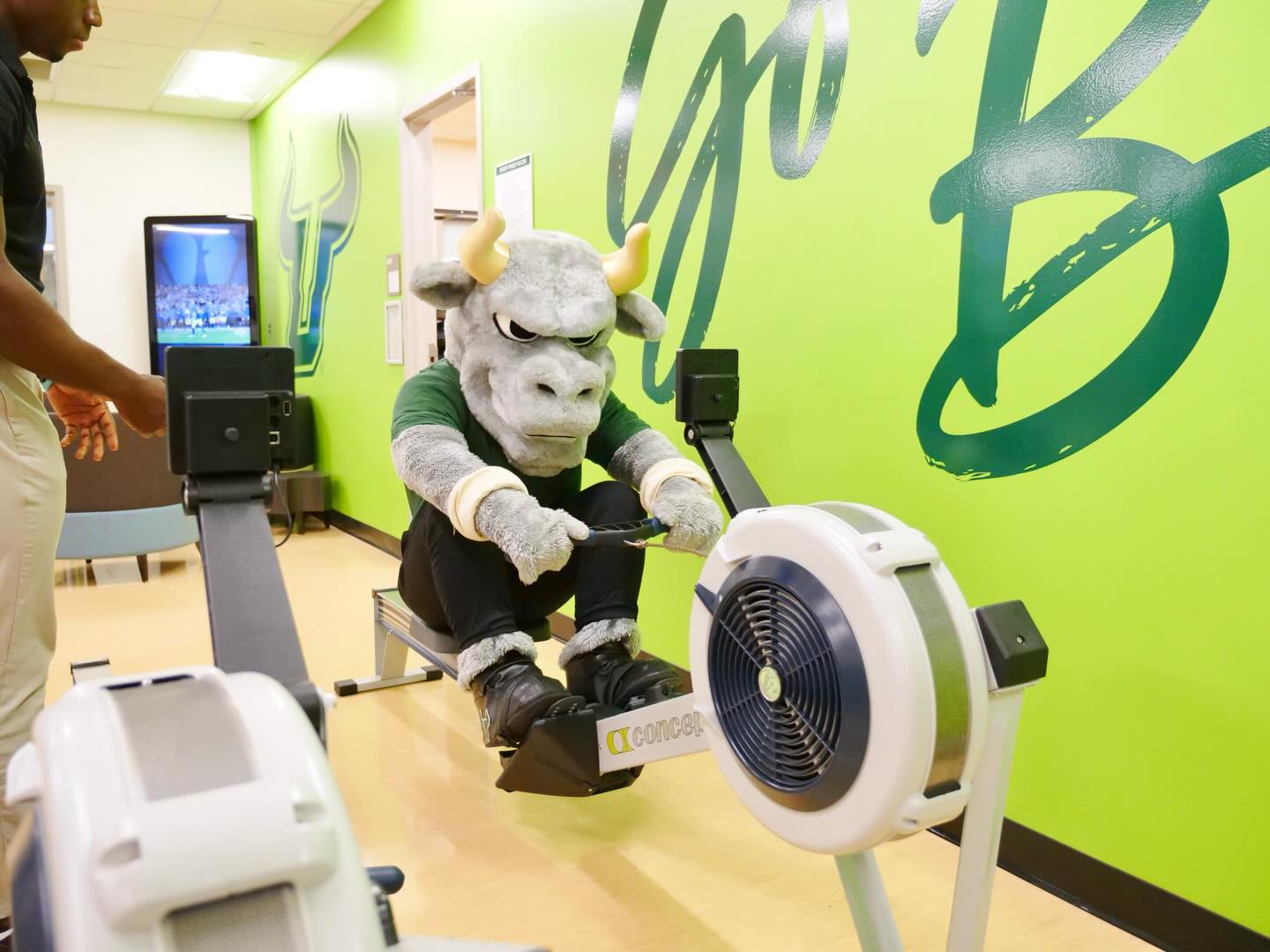 USF St. Petersburg... - USF St. Petersburg Campus Recreation