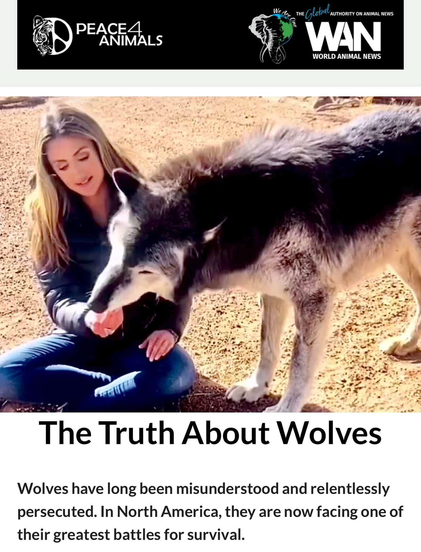 Wolves have long been misunderstood... - World Animal News | Facebook