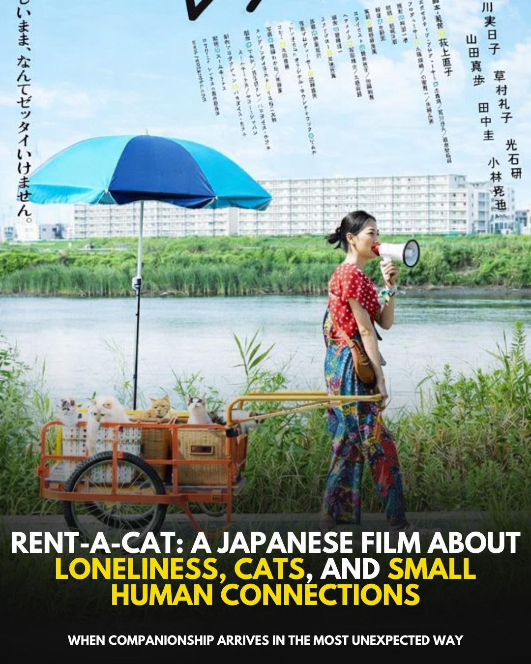 All - Rent-a-Cat is a gentle, quietly charming Japanese film that finds ...