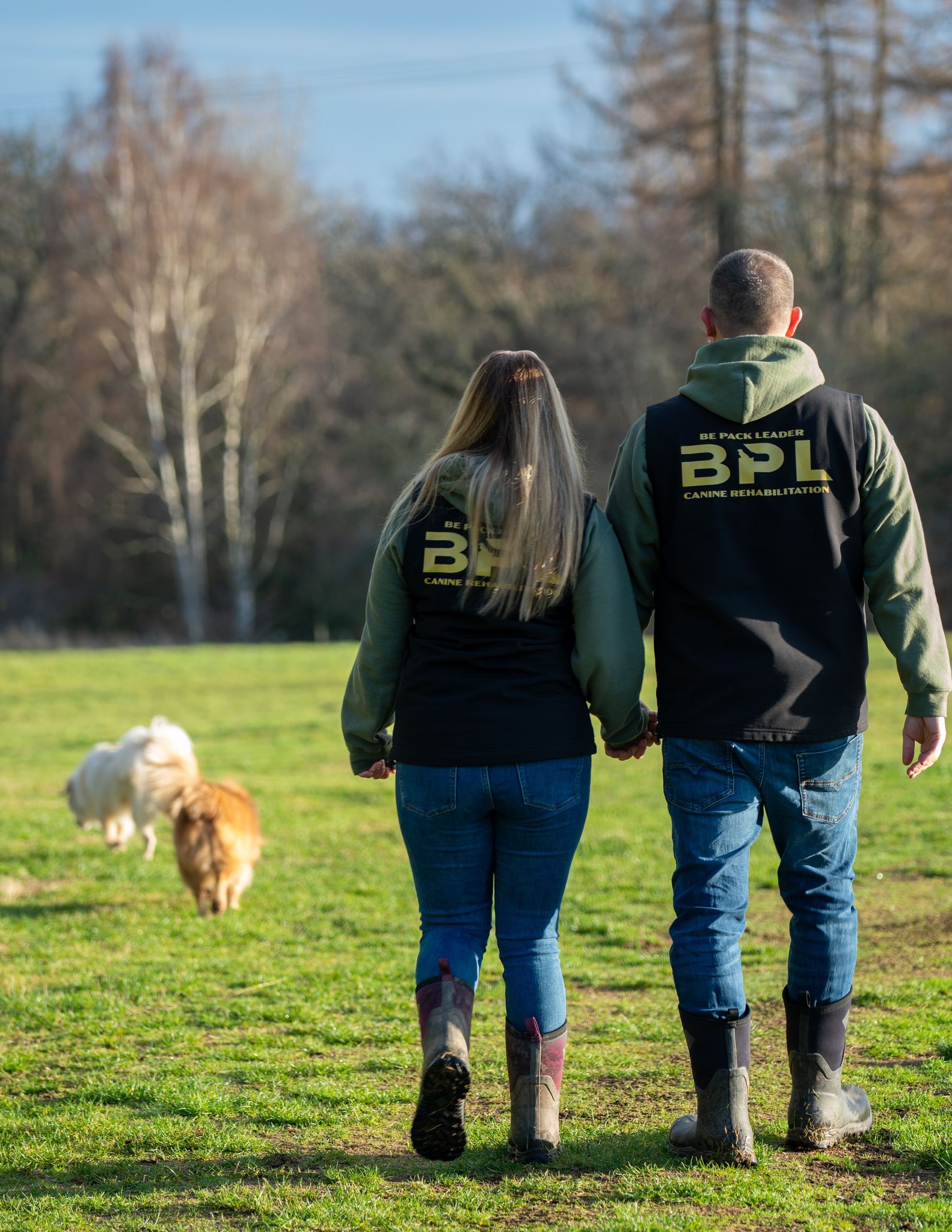 ️ 𝗥𝗘𝗩𝗜𝗘𝗪𝗦 ️ 💙... - Be Pack Leader - Canine Rehabilitation | Facebook