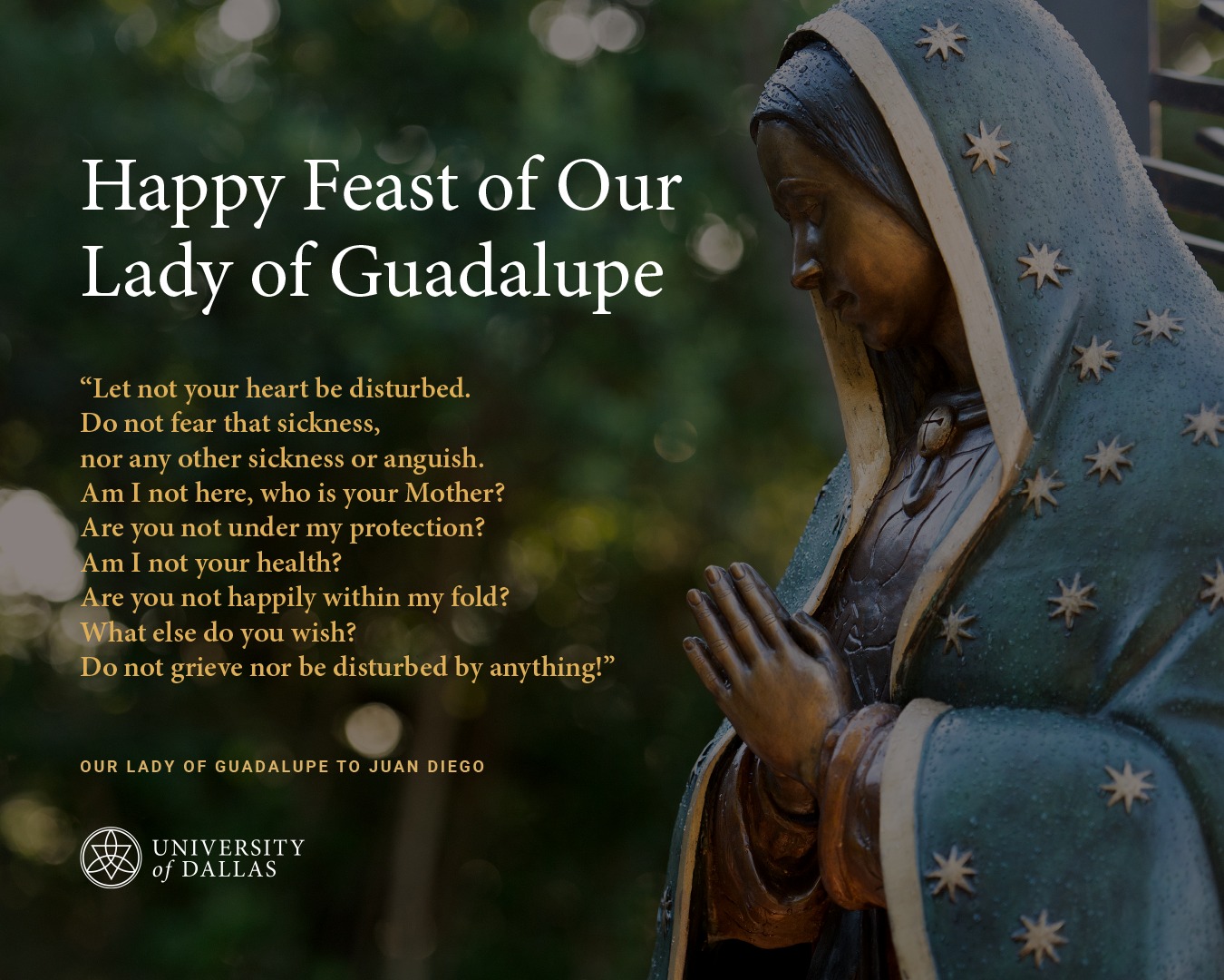 University - In December 1531, Our Lady of Guadalupe appeared to a ...