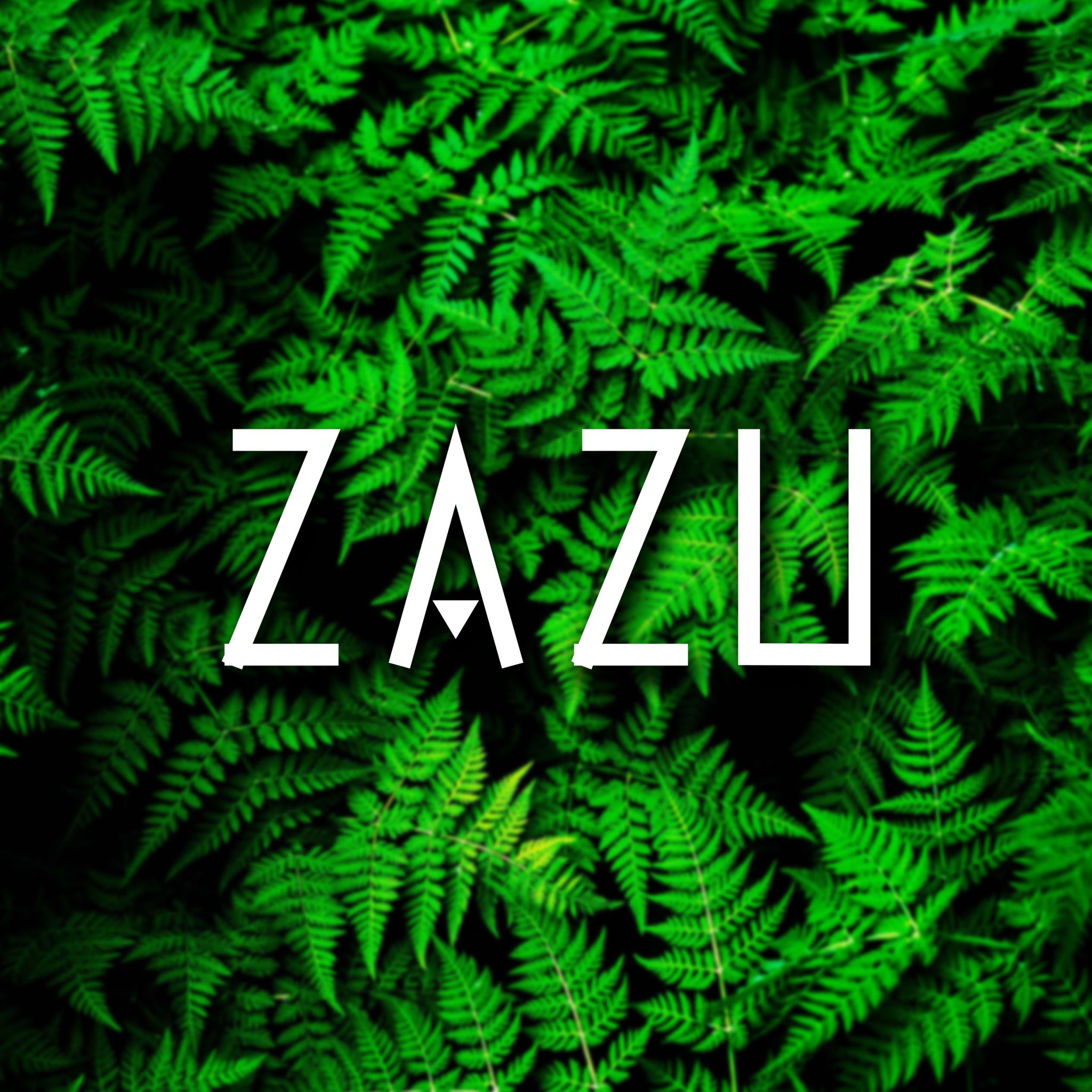 ZAZU - 🚨 The B3B set is now on YouTube! 🎥 Relive 3 hours... | Facebook