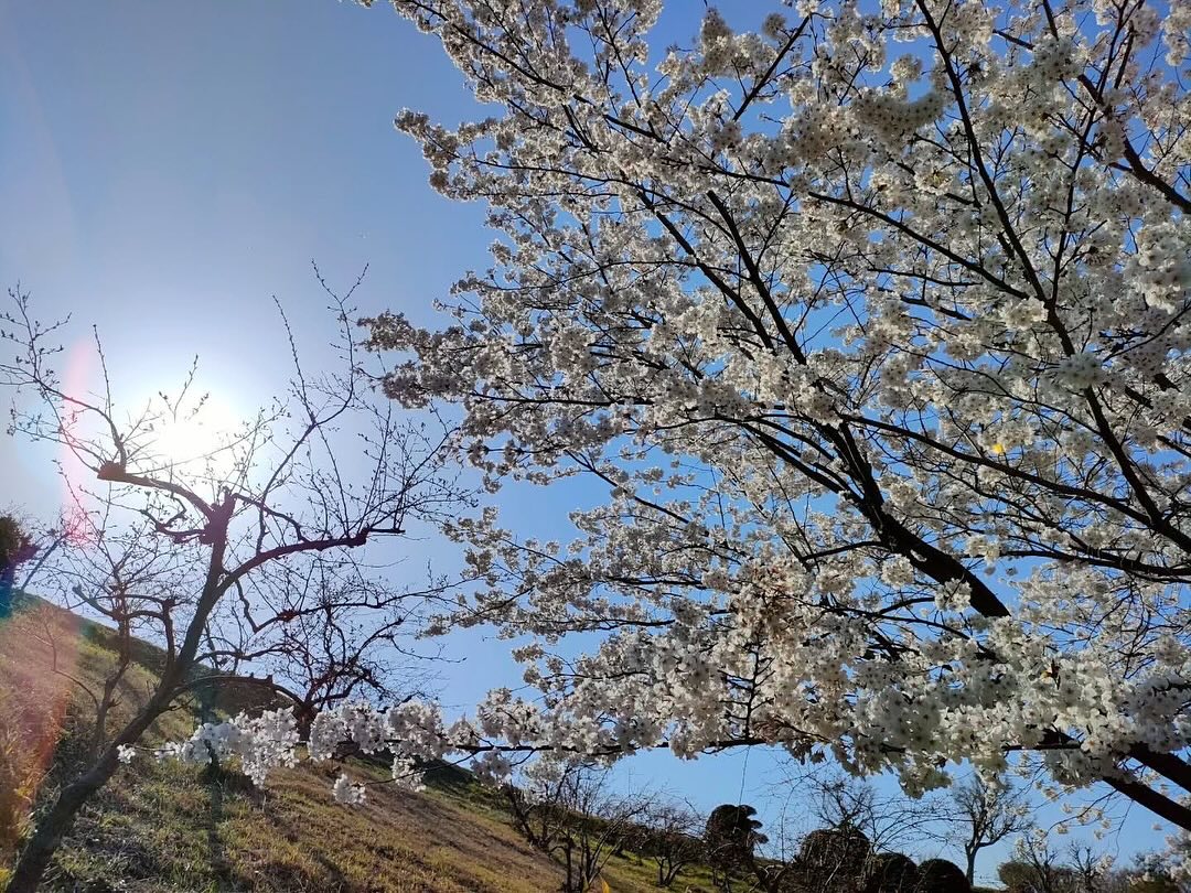 北栄町