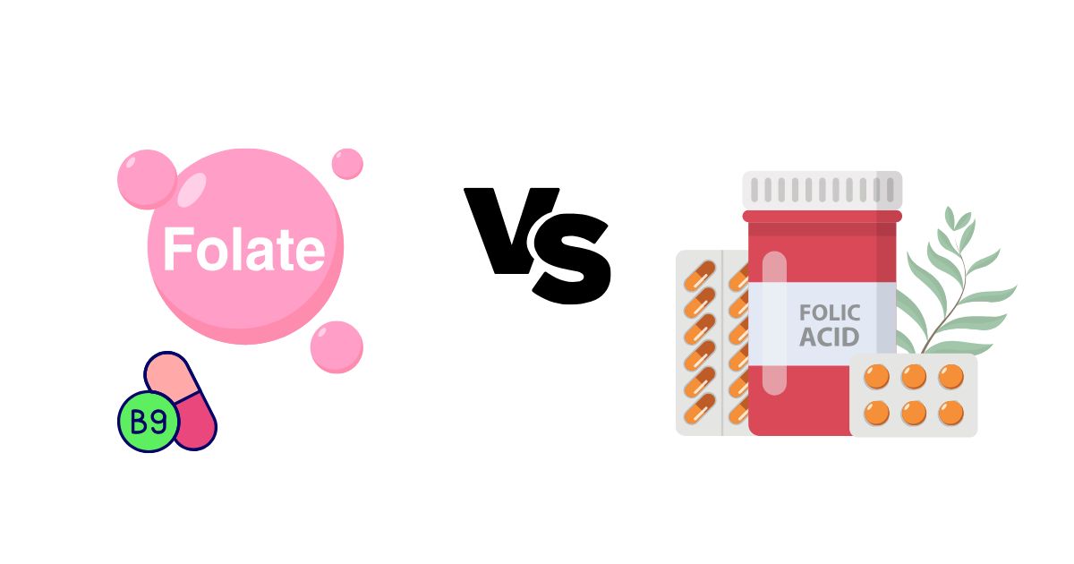 Apothecary & Co - 🧬 Folate vs. Folic Acid: What’s the... | Facebook