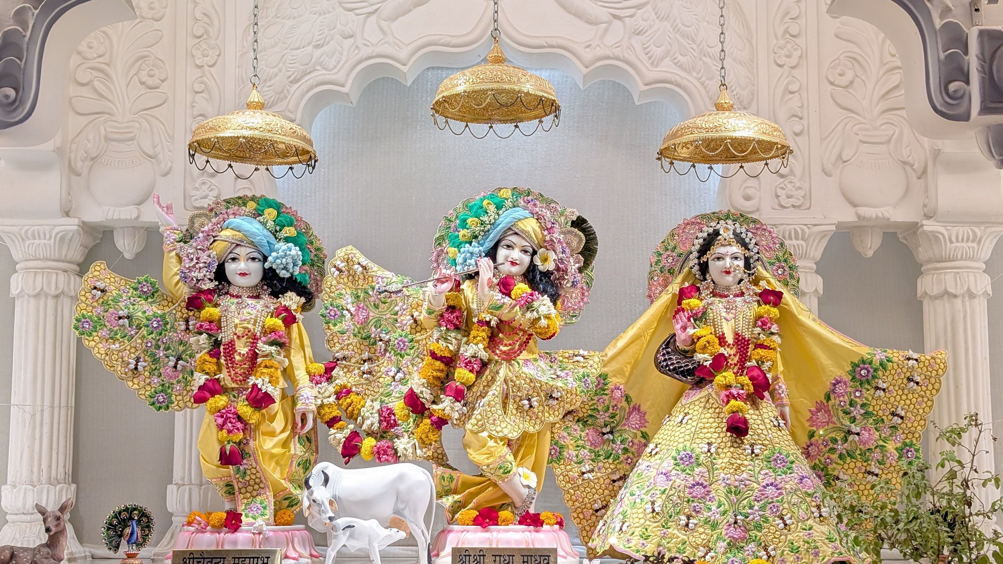 Shri Radha Madhav Gaudiya Math | Faridabad