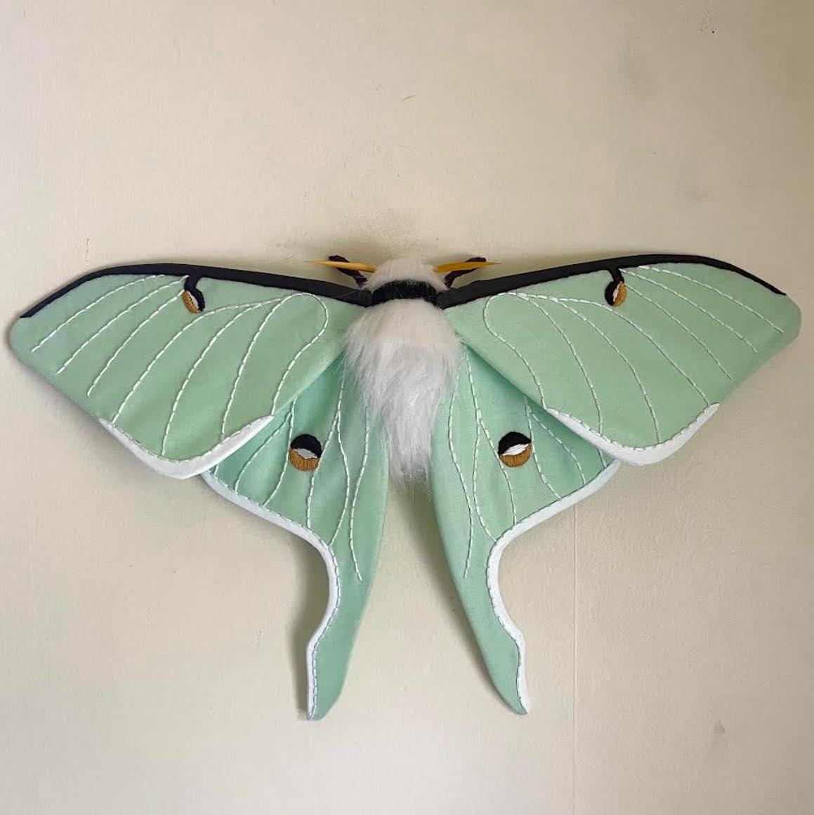it-s-actually-cool-enough-to-molly-burgess-designs-llc-facebook