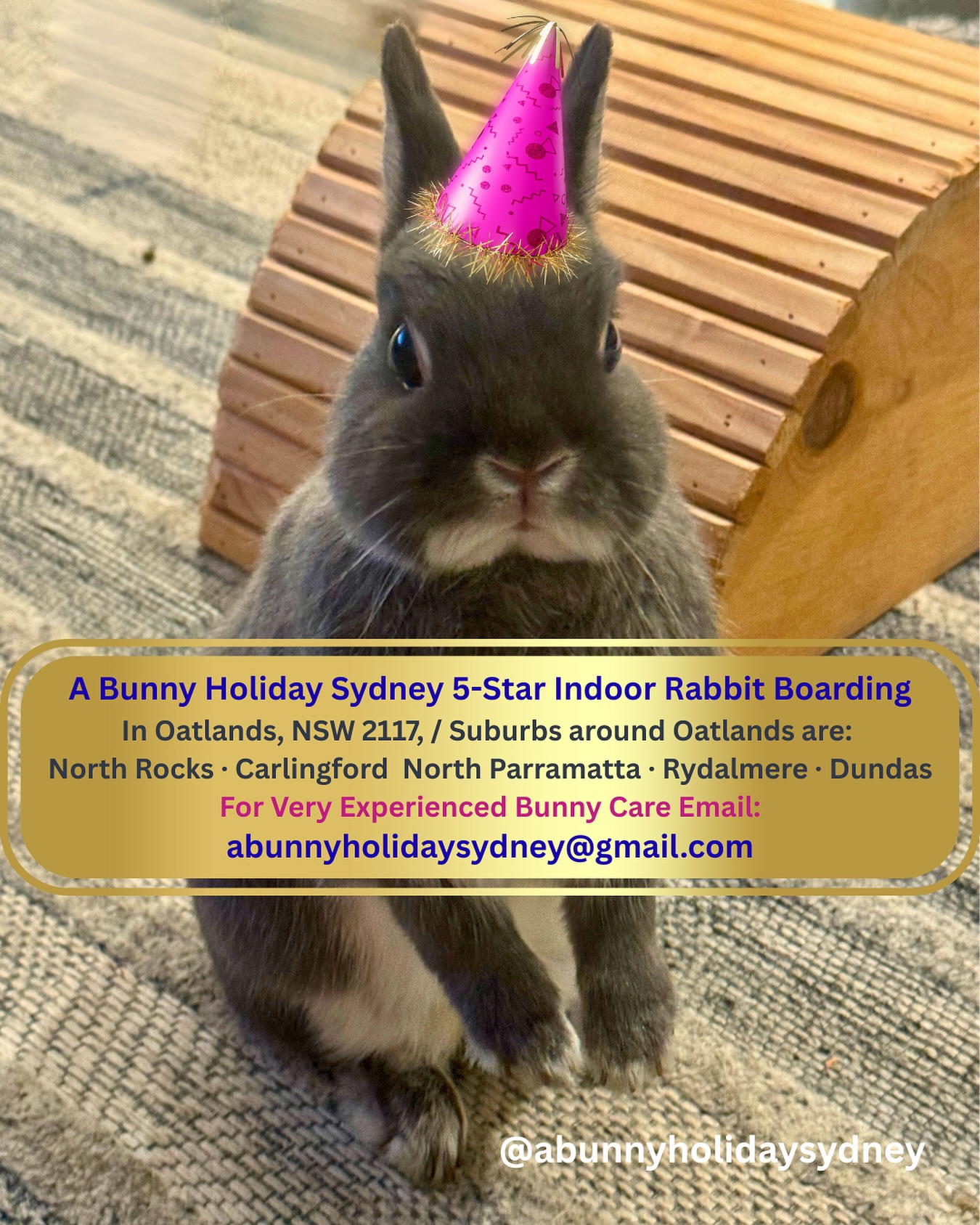 A Bunny Holiday Sydney Rabbit Boarding