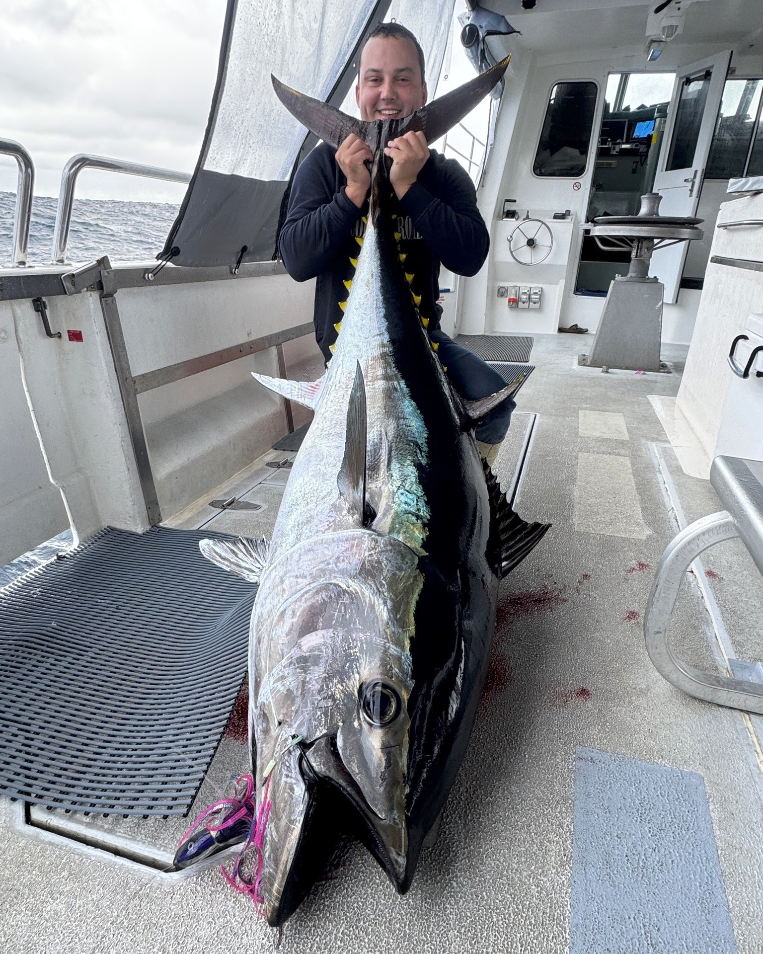 Tackle - Eging Mastery ? Daiwa Emeraldas Air LT 3000S-CXH-DH 