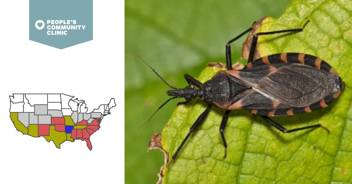 People's - ⚠️ Did you know Chagas disease—spread by “kissing bugs”—is ...