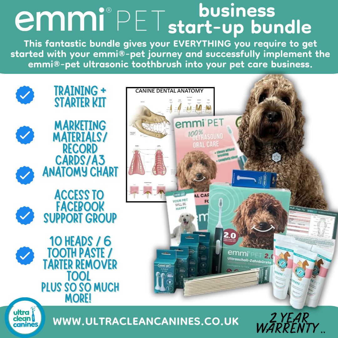 🦷 OUR EMMI-PET PET PROFESSIONAL BUSINESS START UP BUNDLE for 2026 has ...