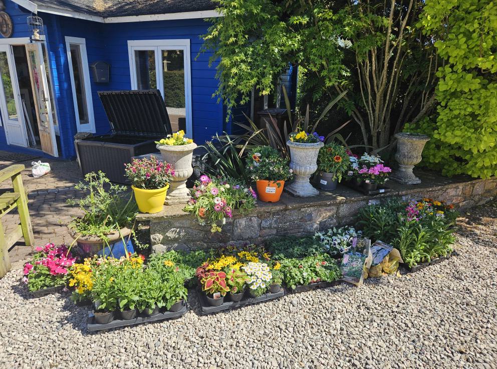 Compton Pool Farm | Paignton
