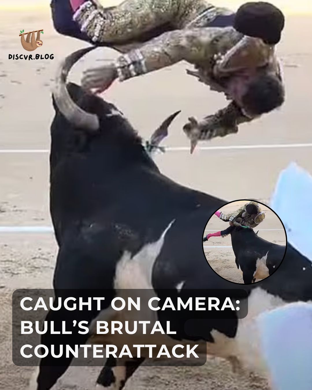 Discvr - Don’t blink — the bull turns faster than you’d believe. Read ...