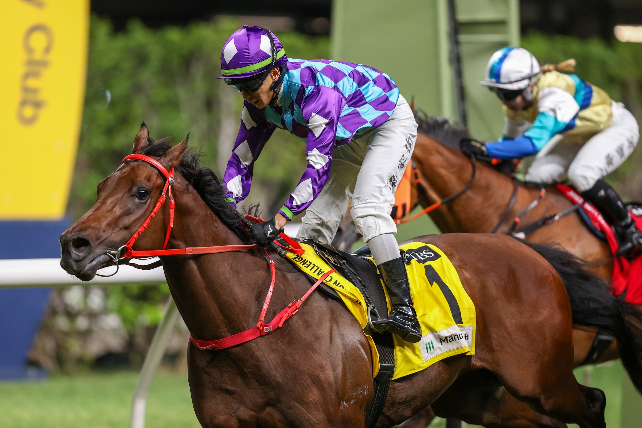 HKJC Racing - 星展與宏利百萬挑戰盃「至尊瑰寶」力爭再取佳績順利封王... | Facebook