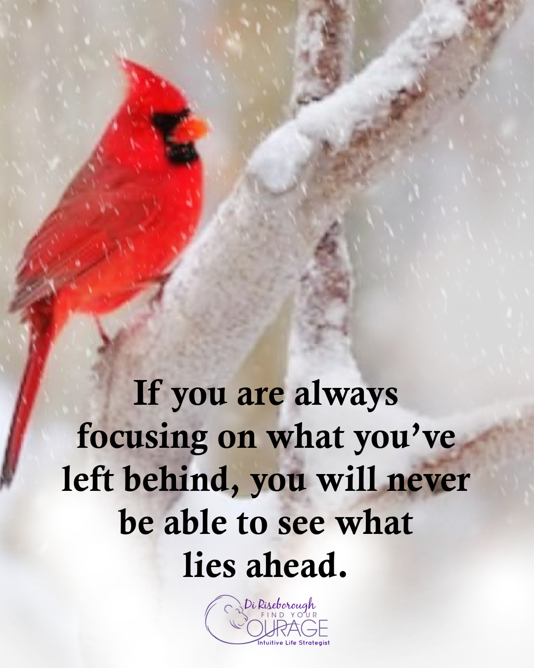 Di - Forward movement.... | Facebook