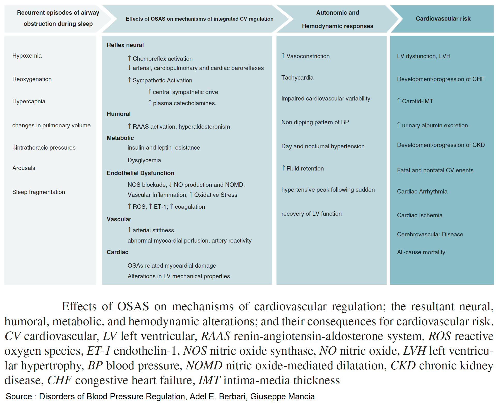 Manual - Effects of Obstructive Sleep Apnea Syndrome (OSAS) on ...