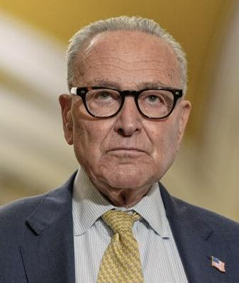 David - Chuck Schumer has had it with Trump and wants him to behave ...
