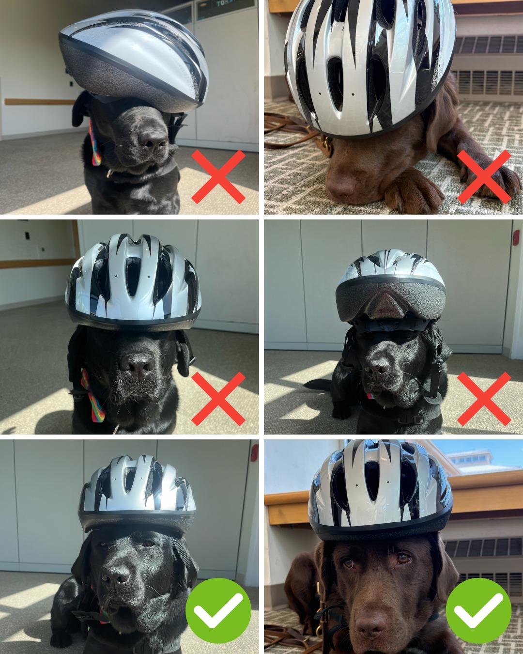 3/4 retro motorcycle helmets Kaese Carbon Fiber Open Face with Sun Vis – kaese helmet store Penn Prevail III Surf SPECIFICATIONS Hign clearance Product Options:8'6 5 Weight