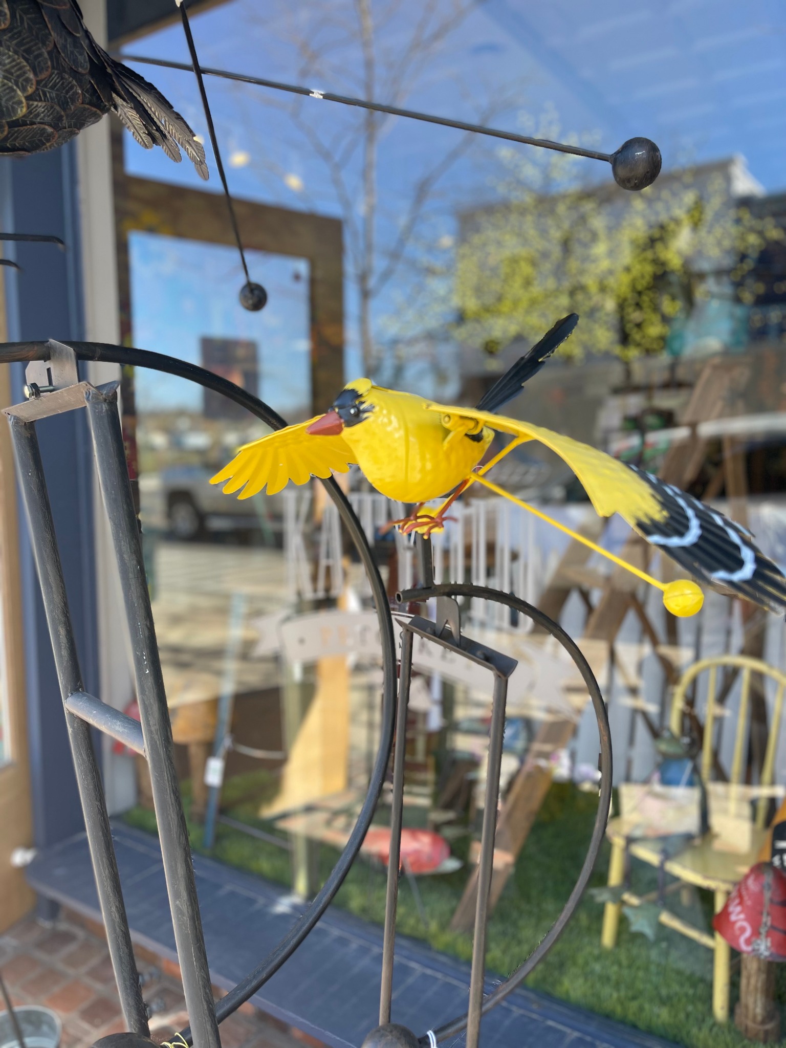 The Katydid - Our backyard bird rockers are back! A...
