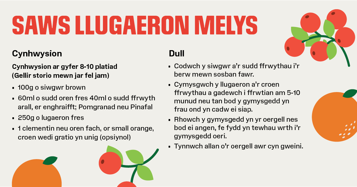 Amgueddfa - Pwy sydd ddim yn hoffi ychydig o saws llugaeron gyda'u ...