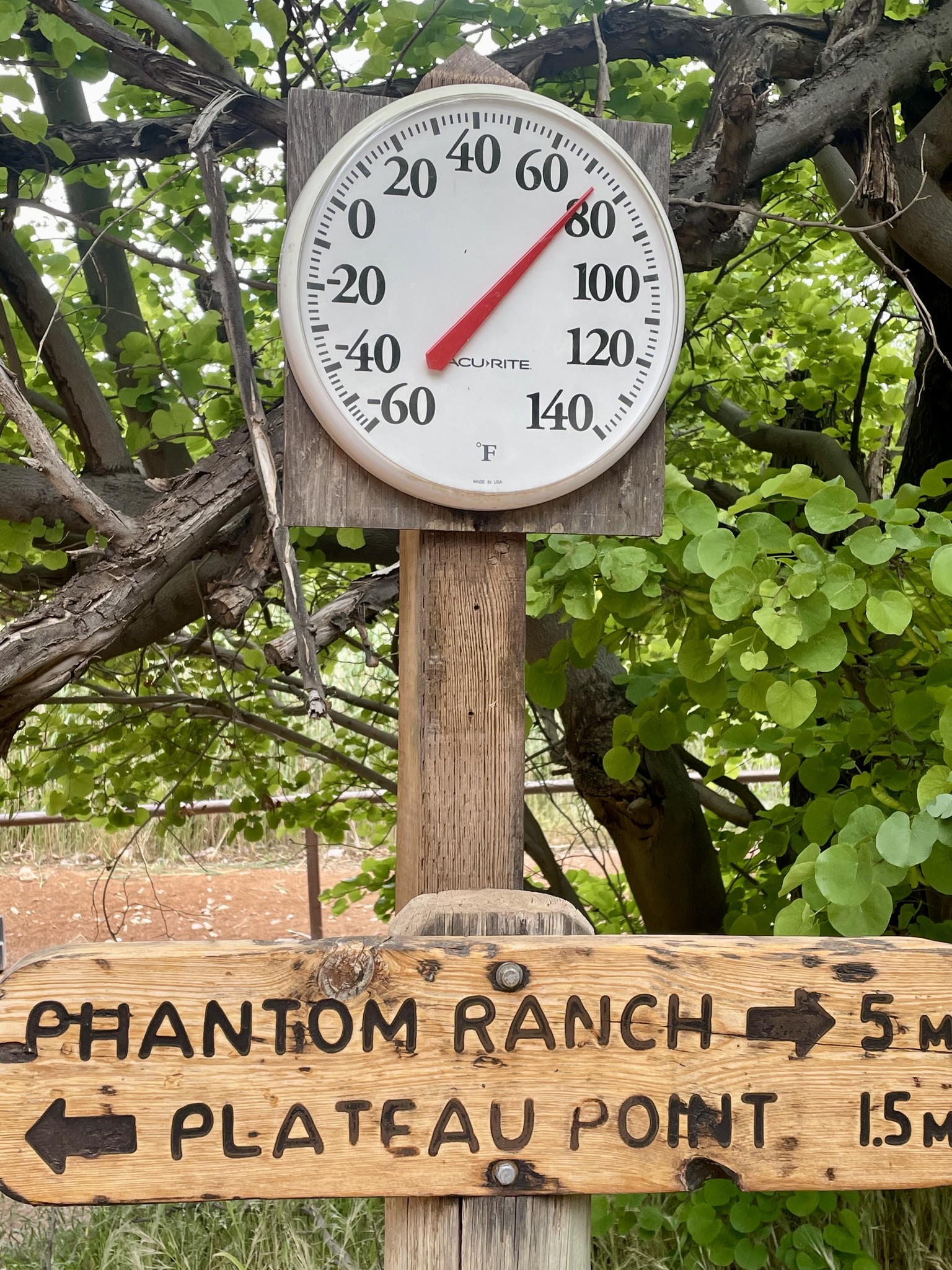 Gila River and Alamo Canyon trail conditions