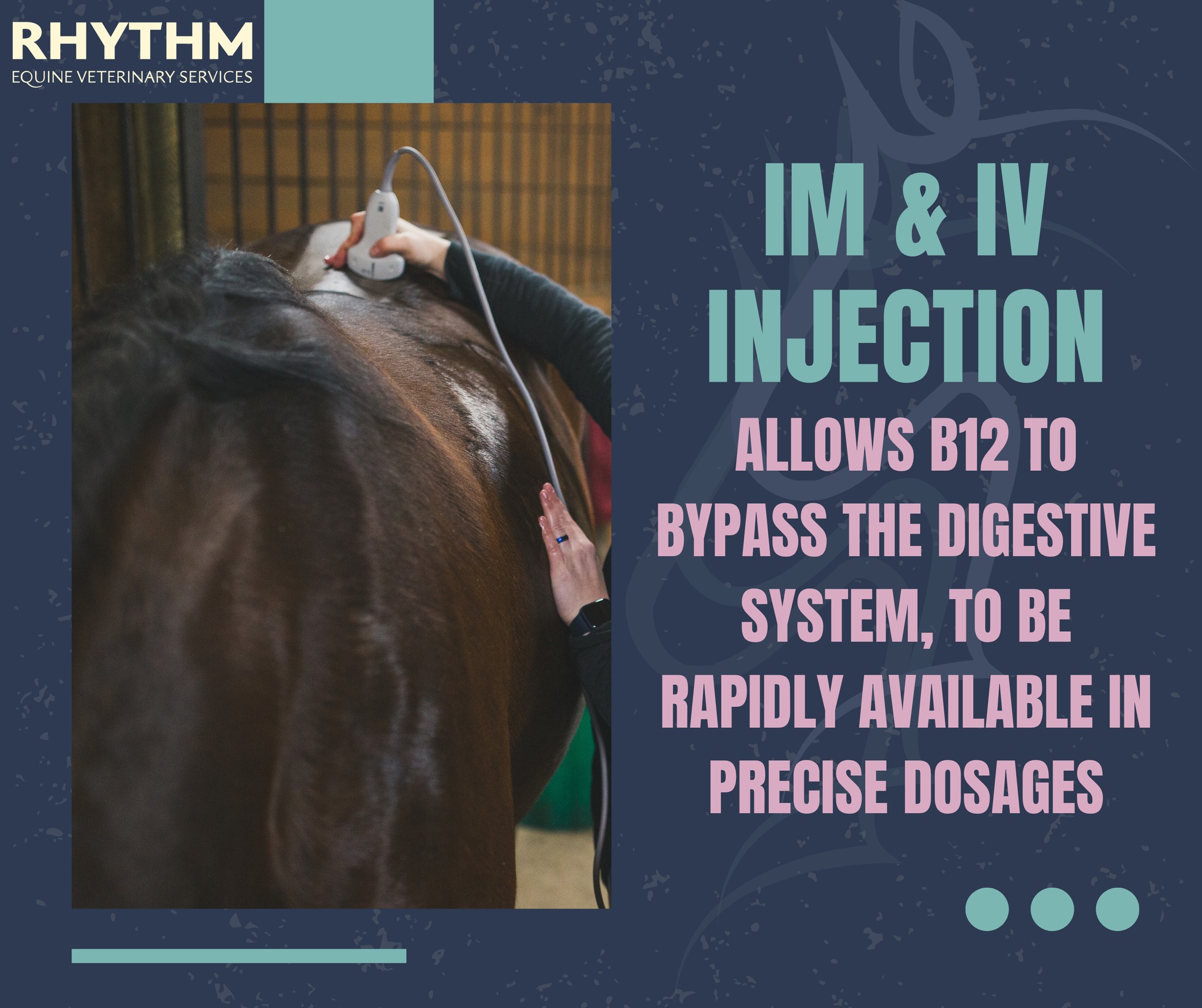 horse on b12 injections How supports health and performance Each dose is carefully Size:50ml Vitamin B12 Injection Cyanocobalamin natural energy booster