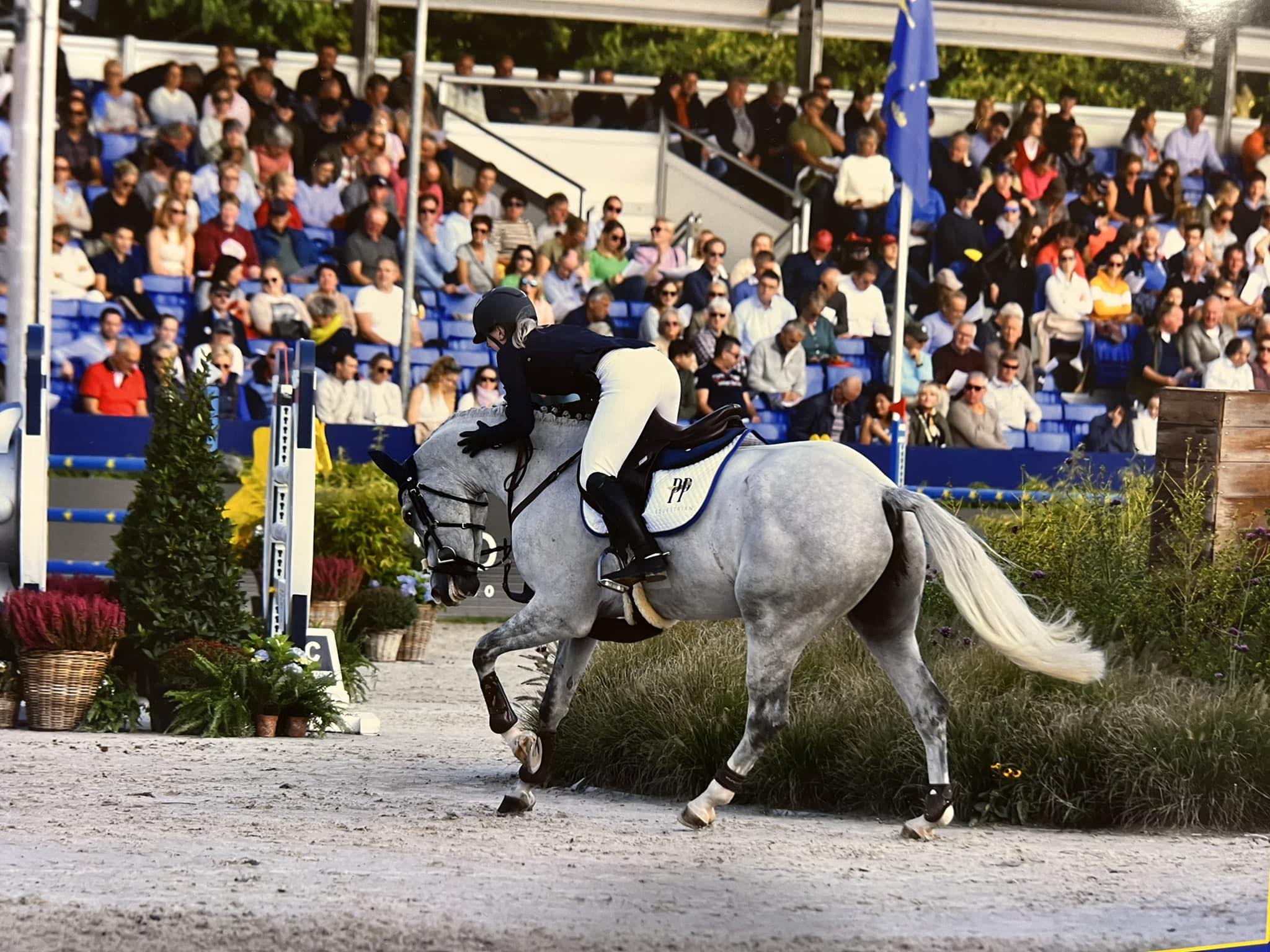 Acton Hall Equestrian... - Acton Hall Equestrian Centre