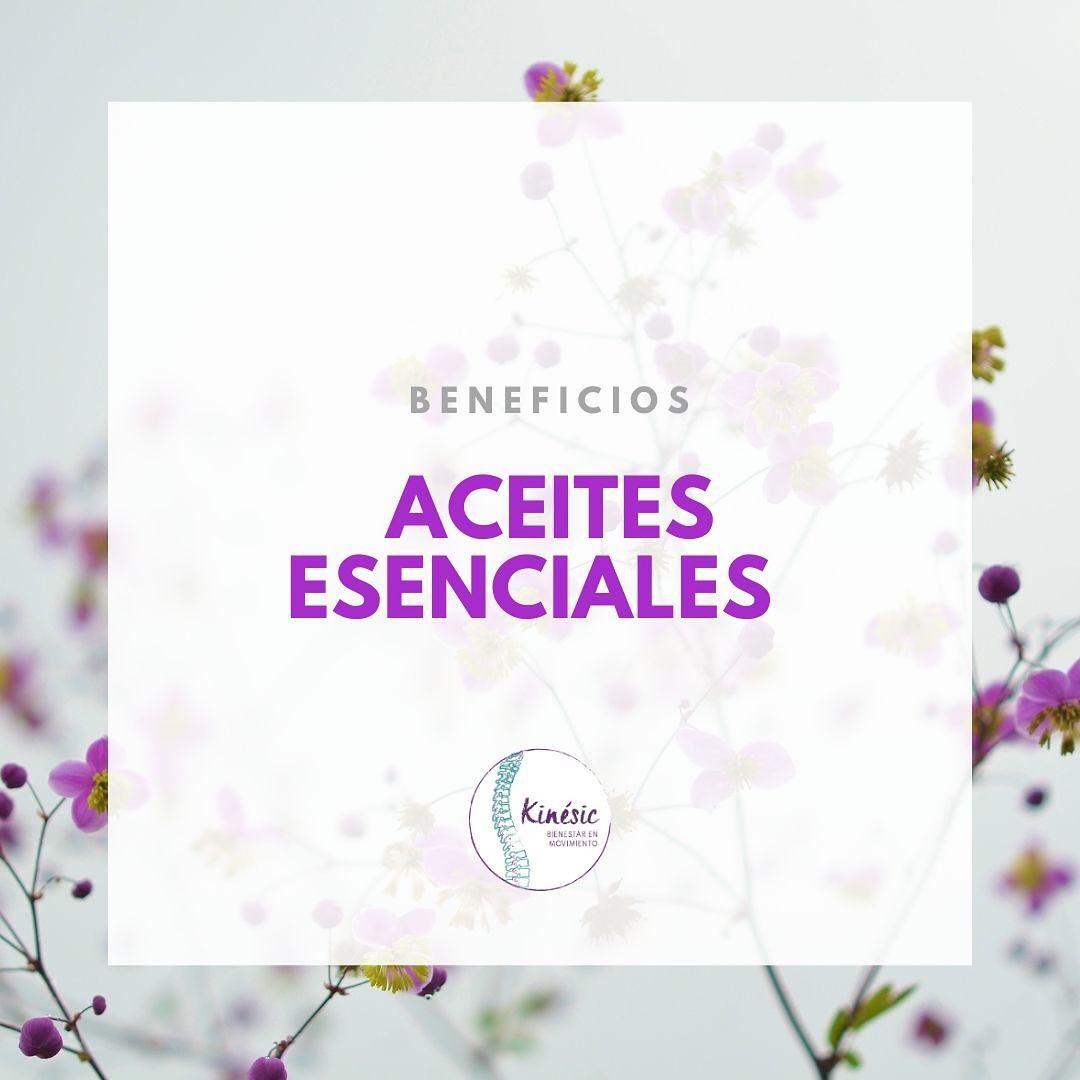 ¿Conoces las... - Kinesic Rehabilitación y Terapia Física | Facebook